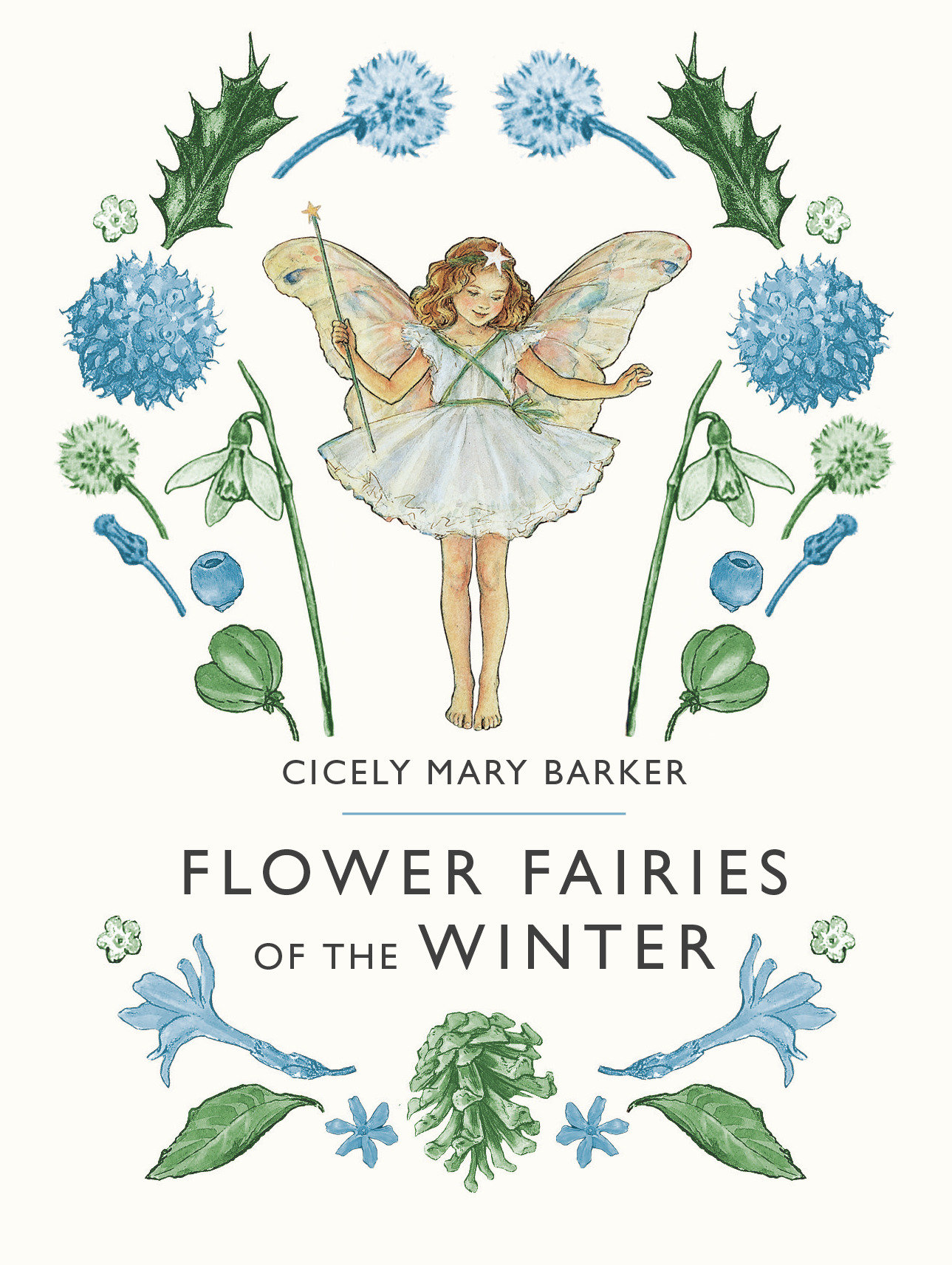 Flower Fairies Of The Winter (Hardcover Book)