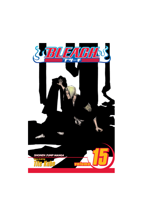 Bleach Manga Volume 15