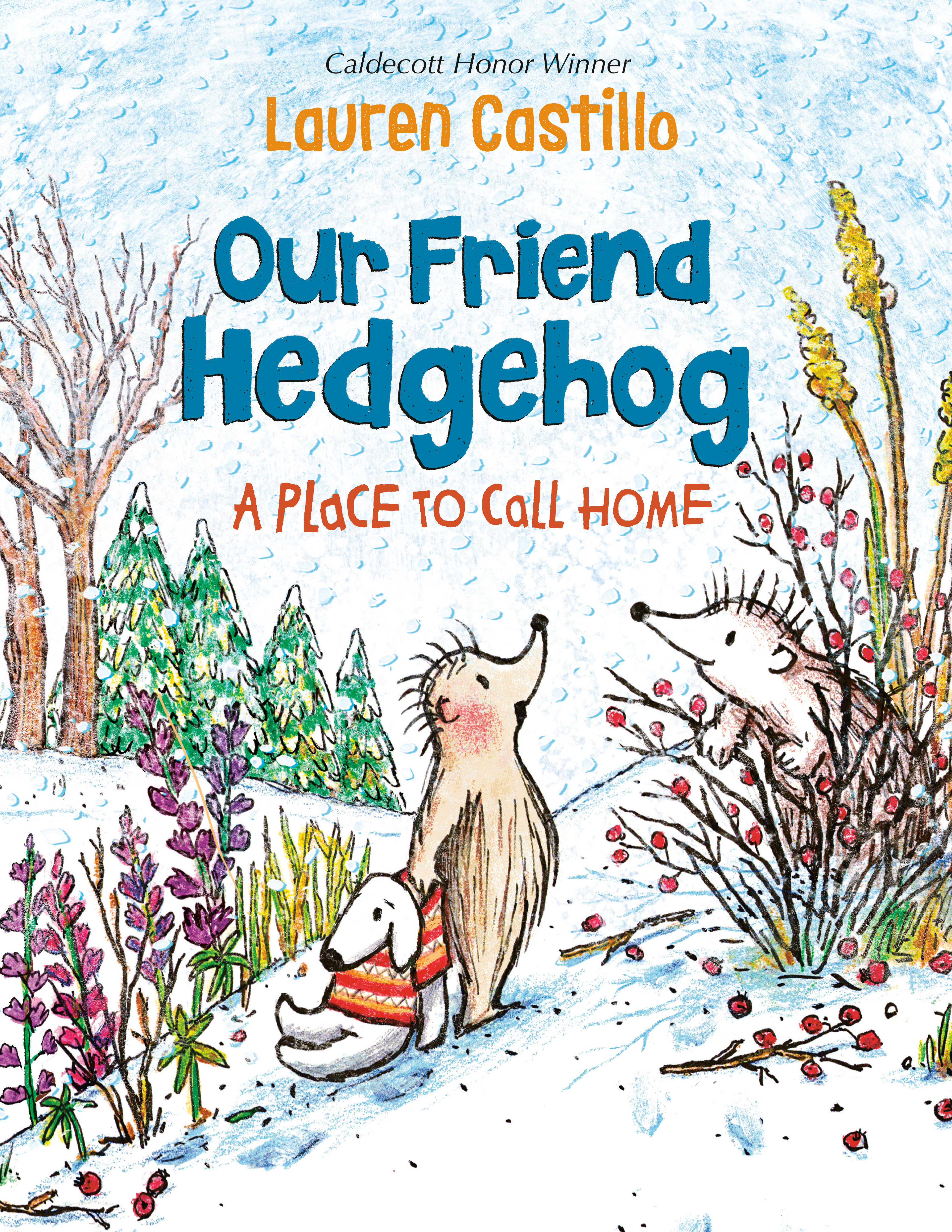 Our Friend Hedgehog: A Place To Call Home (Hardcover Book)