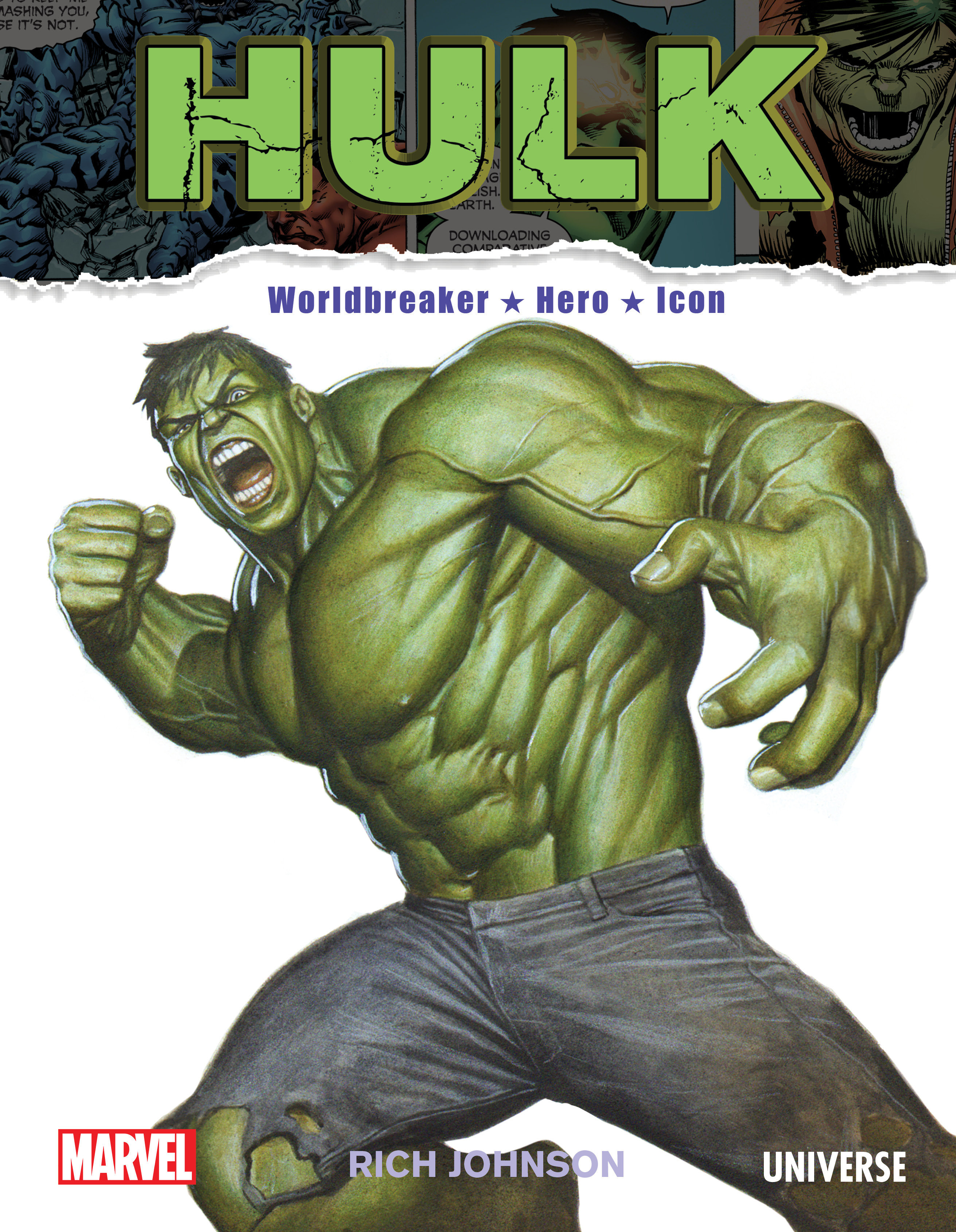 Incredible Hulk Worldbreaker Hero Icon Hardcover
