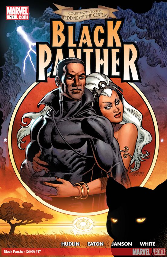 Black Panther #17 (2005)