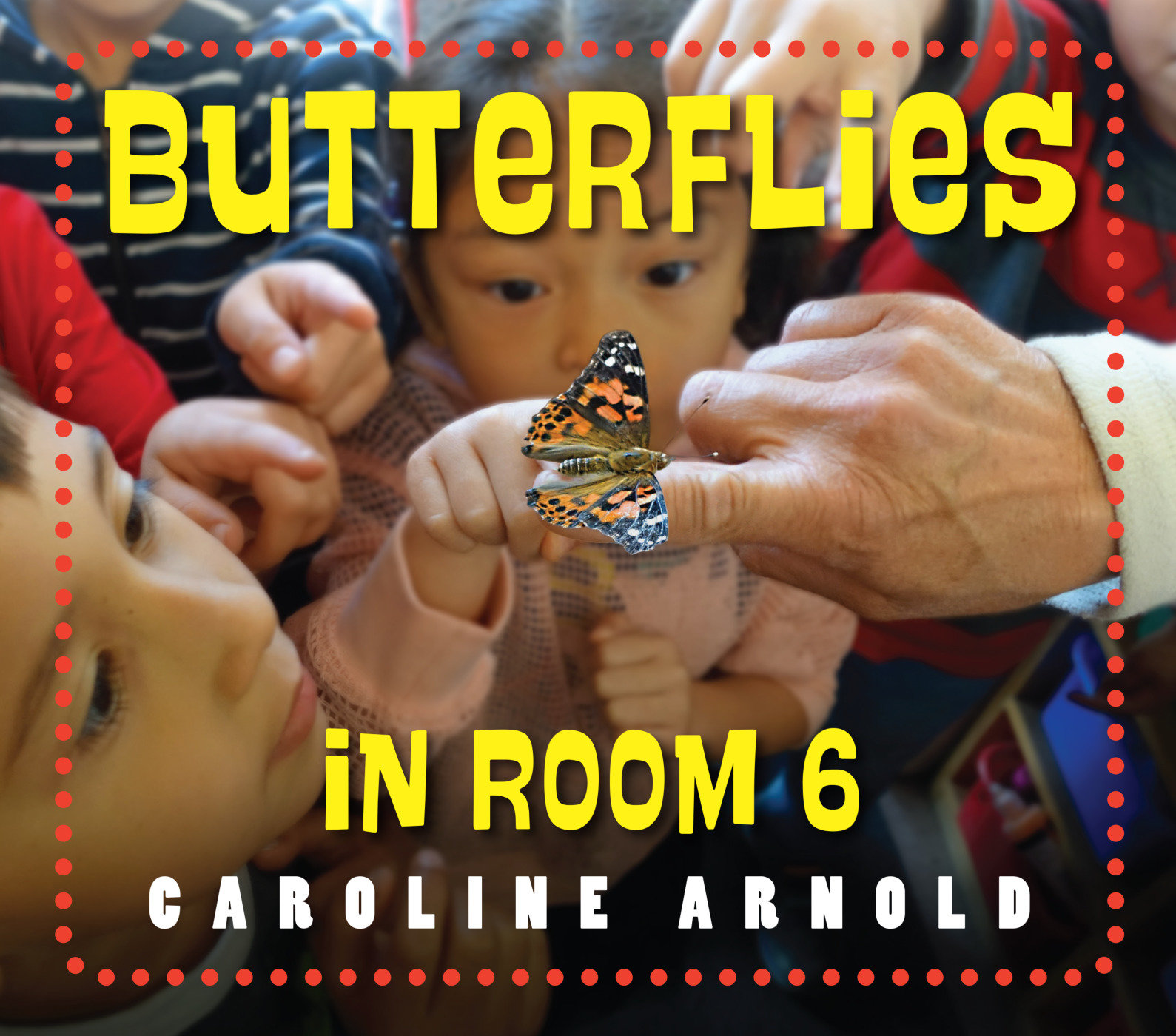 Butterflies In Room 6 (Hardcover Book)