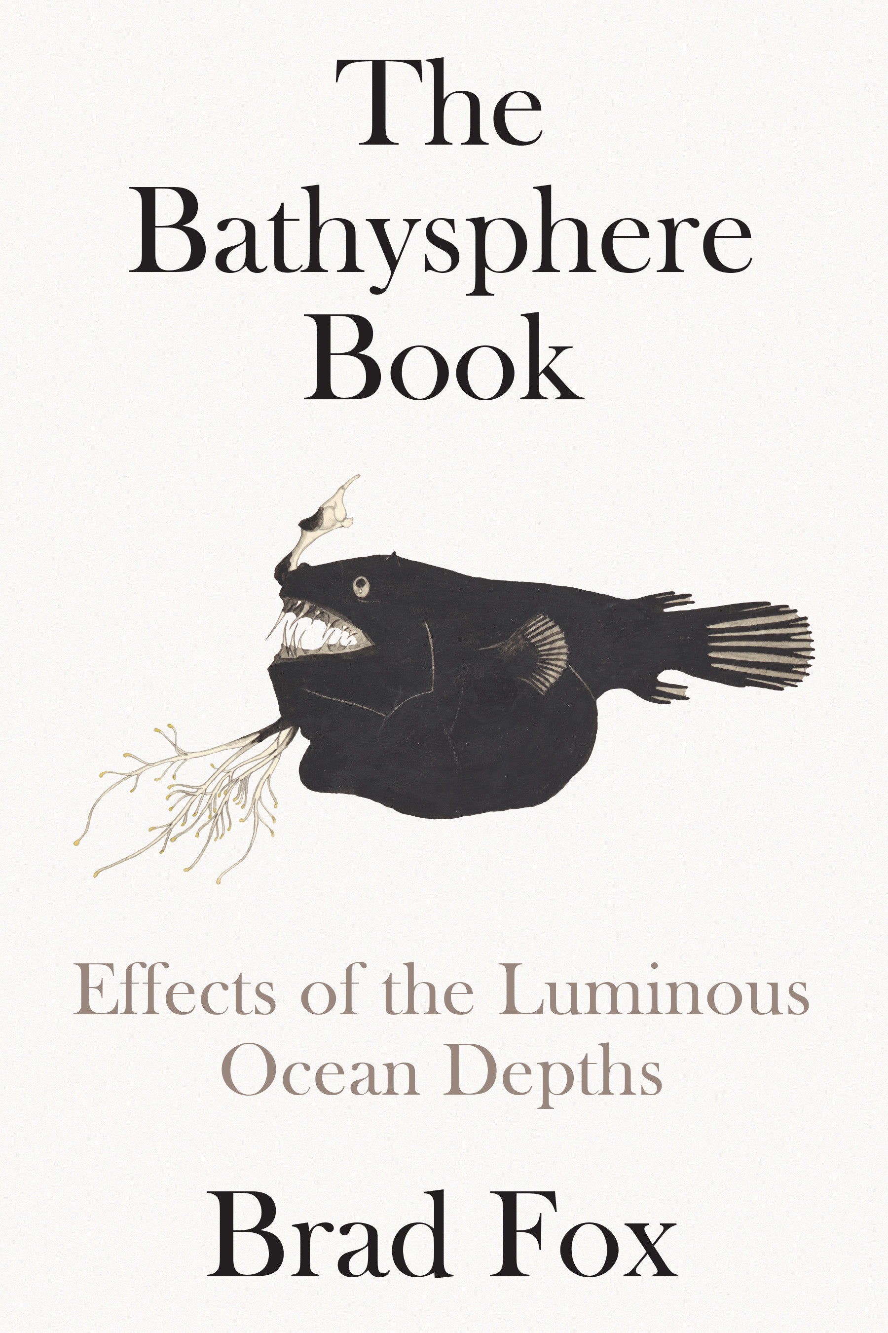 The Bathysphere Book (Hardcover Book)
