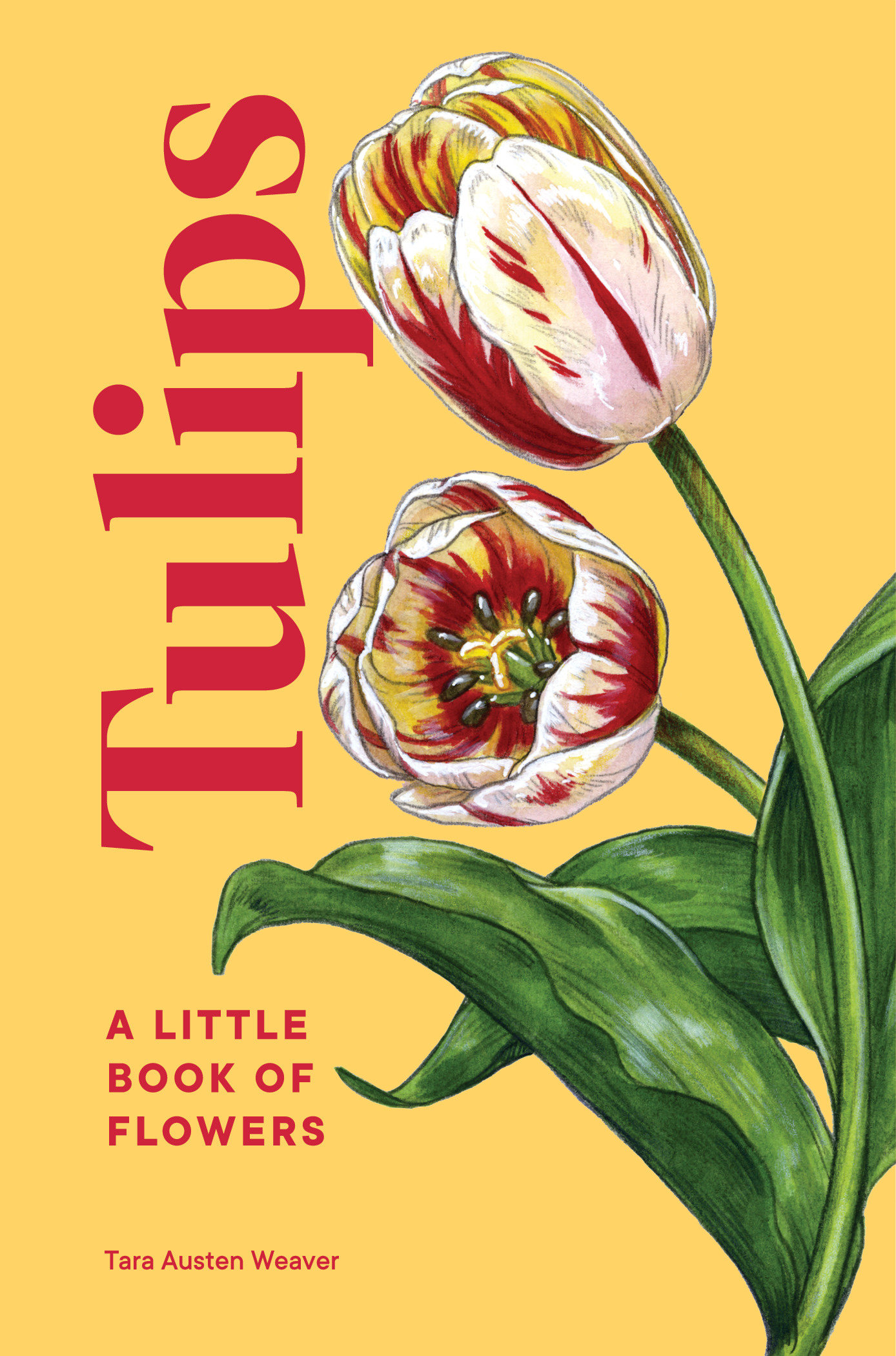Tulips (Hardcover Book)