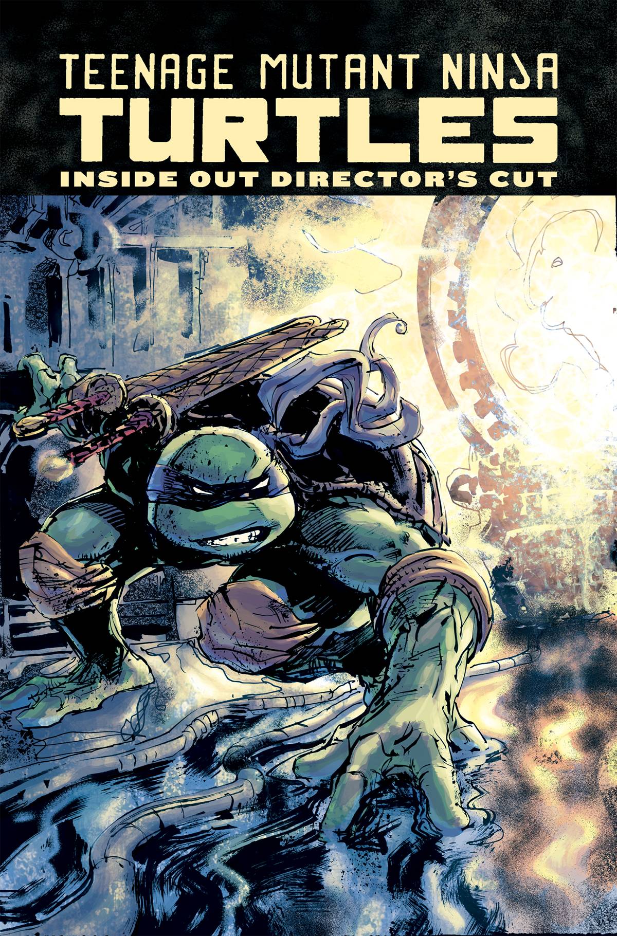 Teenage Mutant Ninja Turtles Inside Out Directors Cut Hardcover