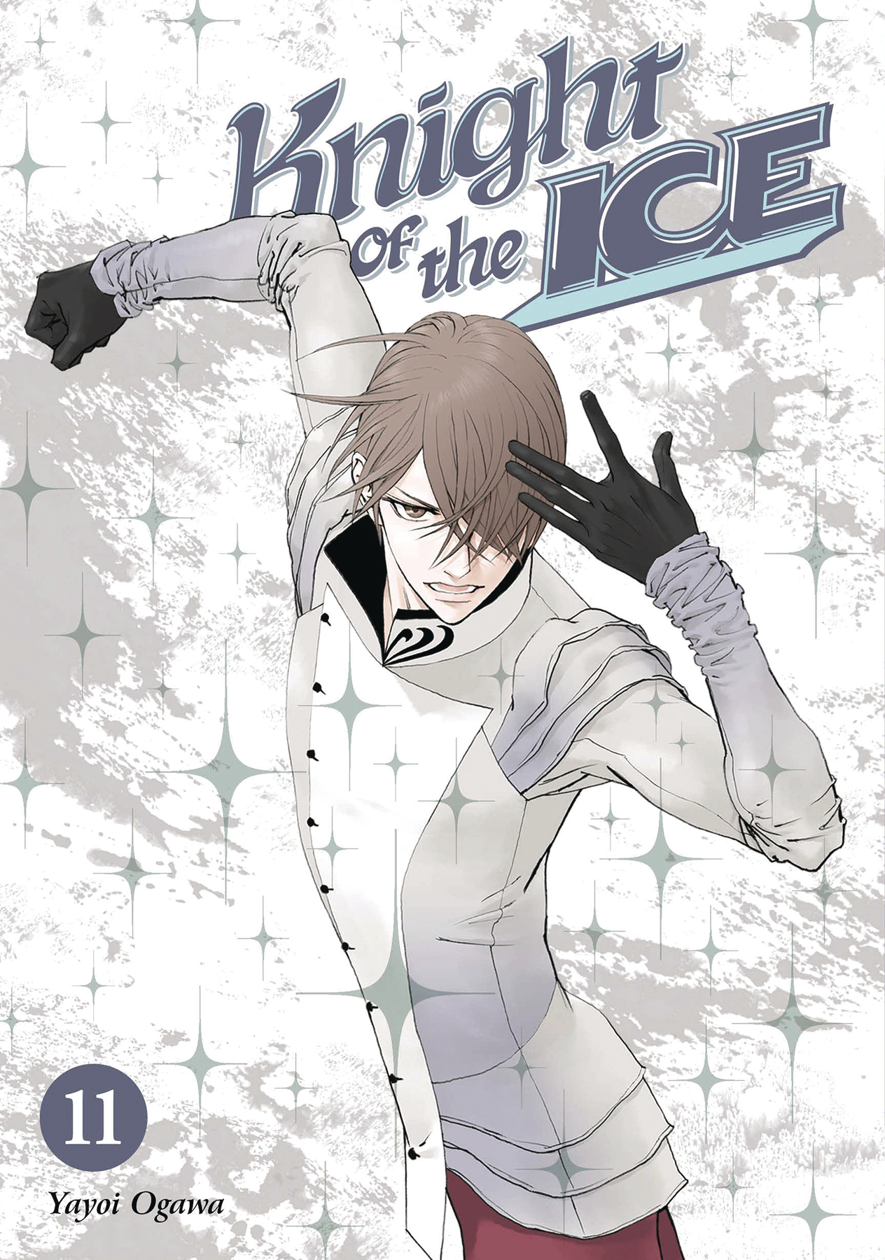 Knight of the Ice Manga Volume 11