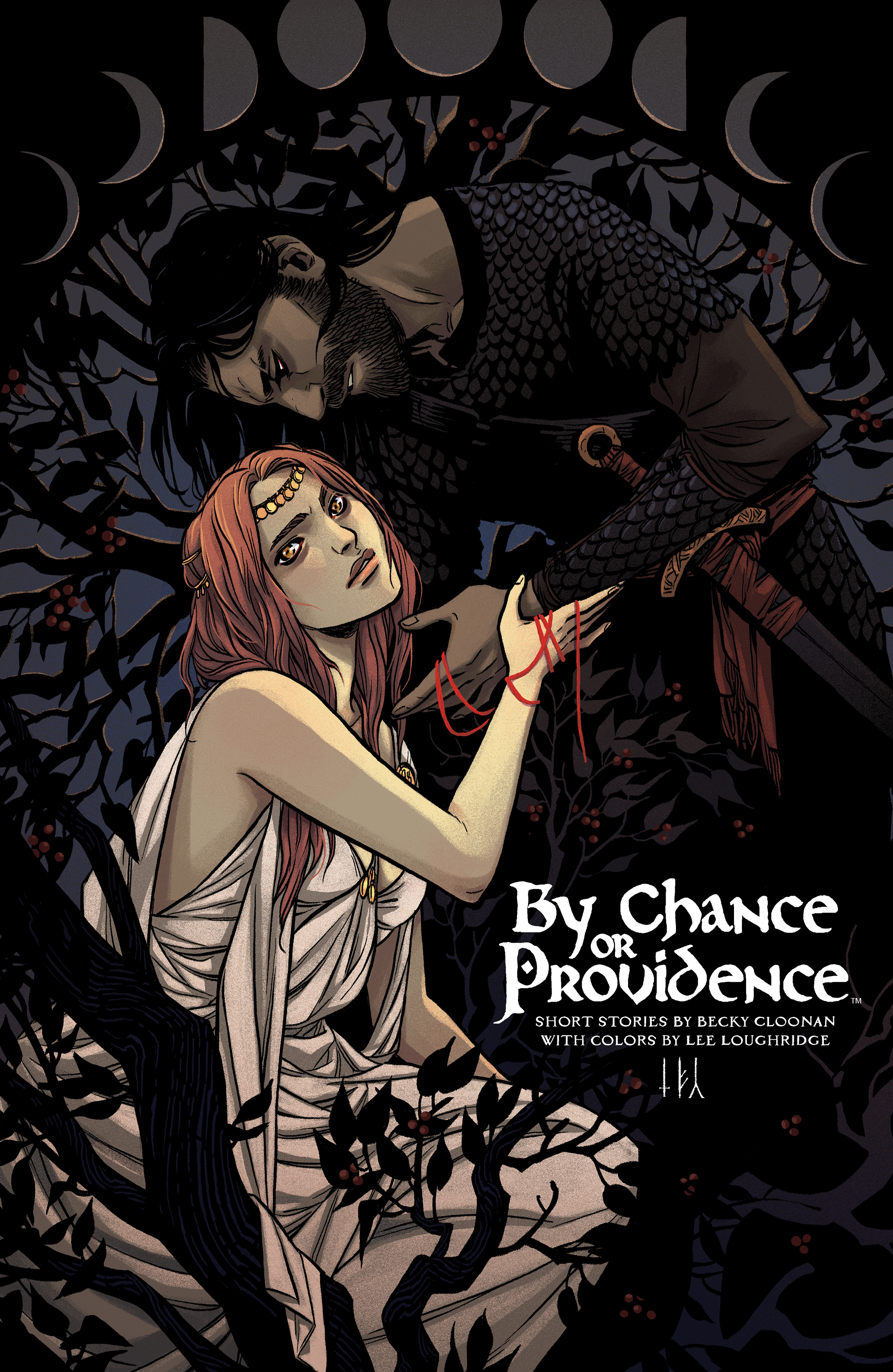 By Chance Or Providence Graphic Novel