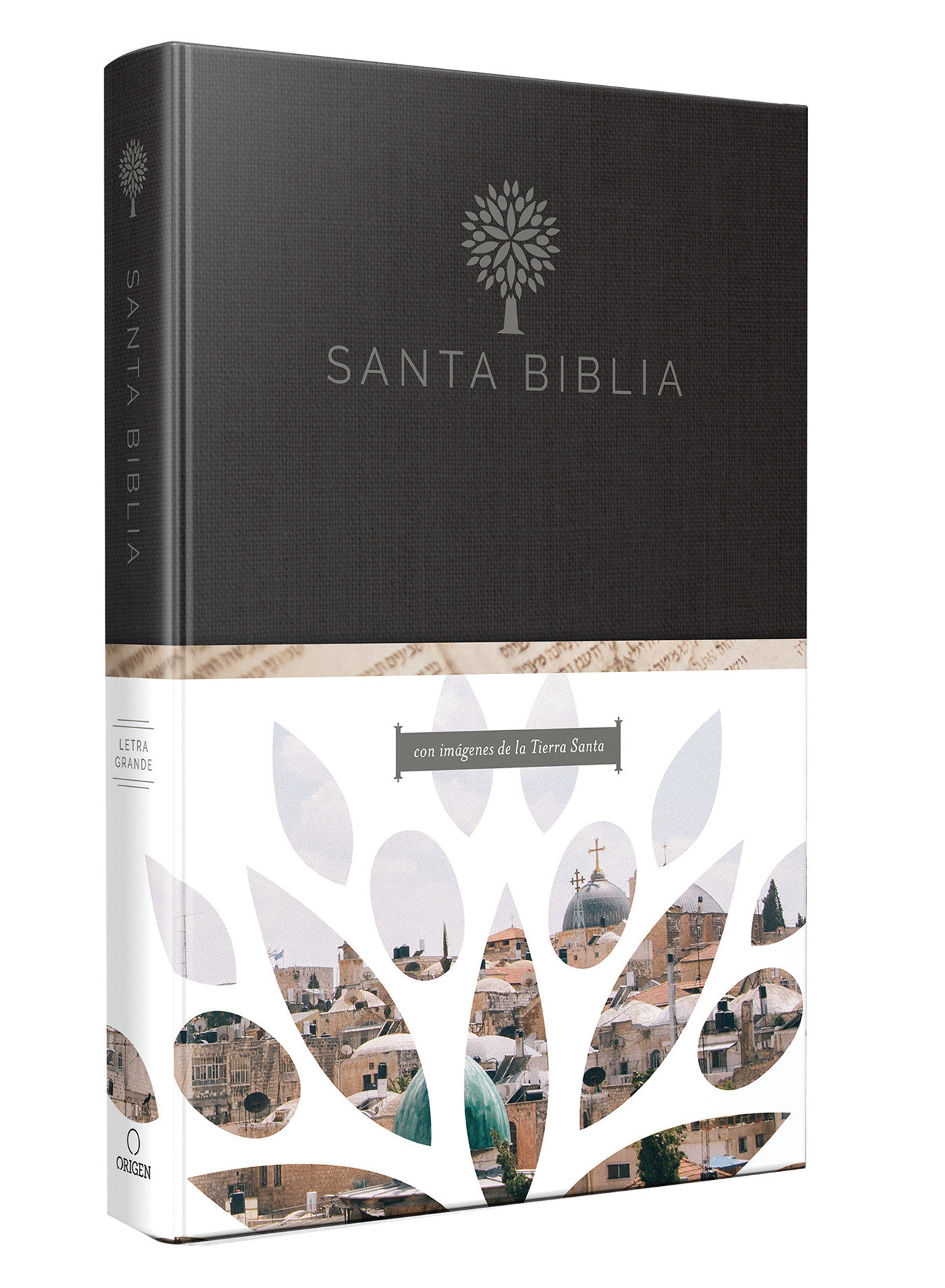 Biblia Reina Valera 1960 Tamaño Grande, Letra Grande. Tapa Dura / Rvr 1960 Holy Bible In Spanish. Large Size, Large Print, Hard Cover. (Hardcover Book)