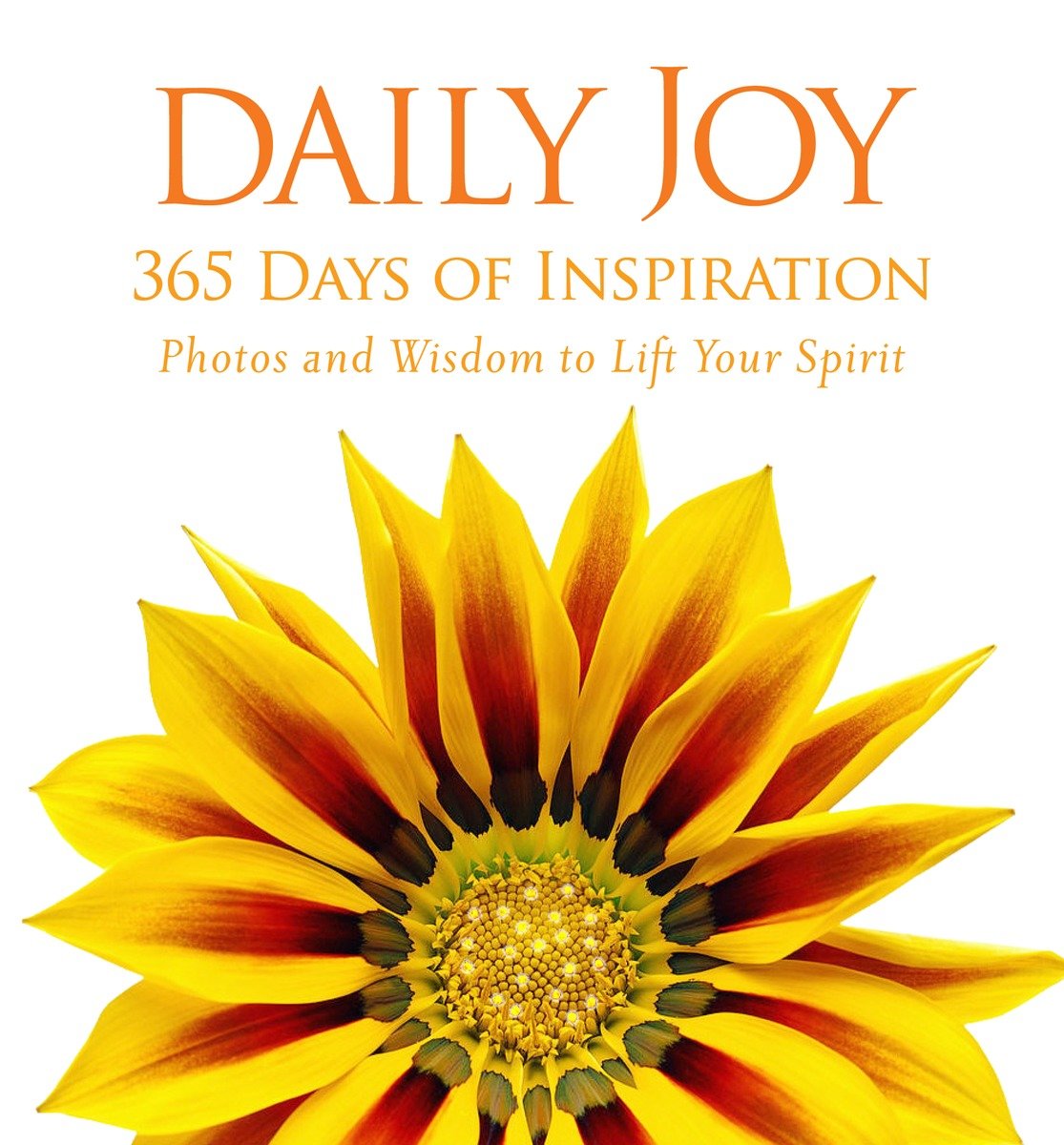 Daily Joy (Hardcover Book)