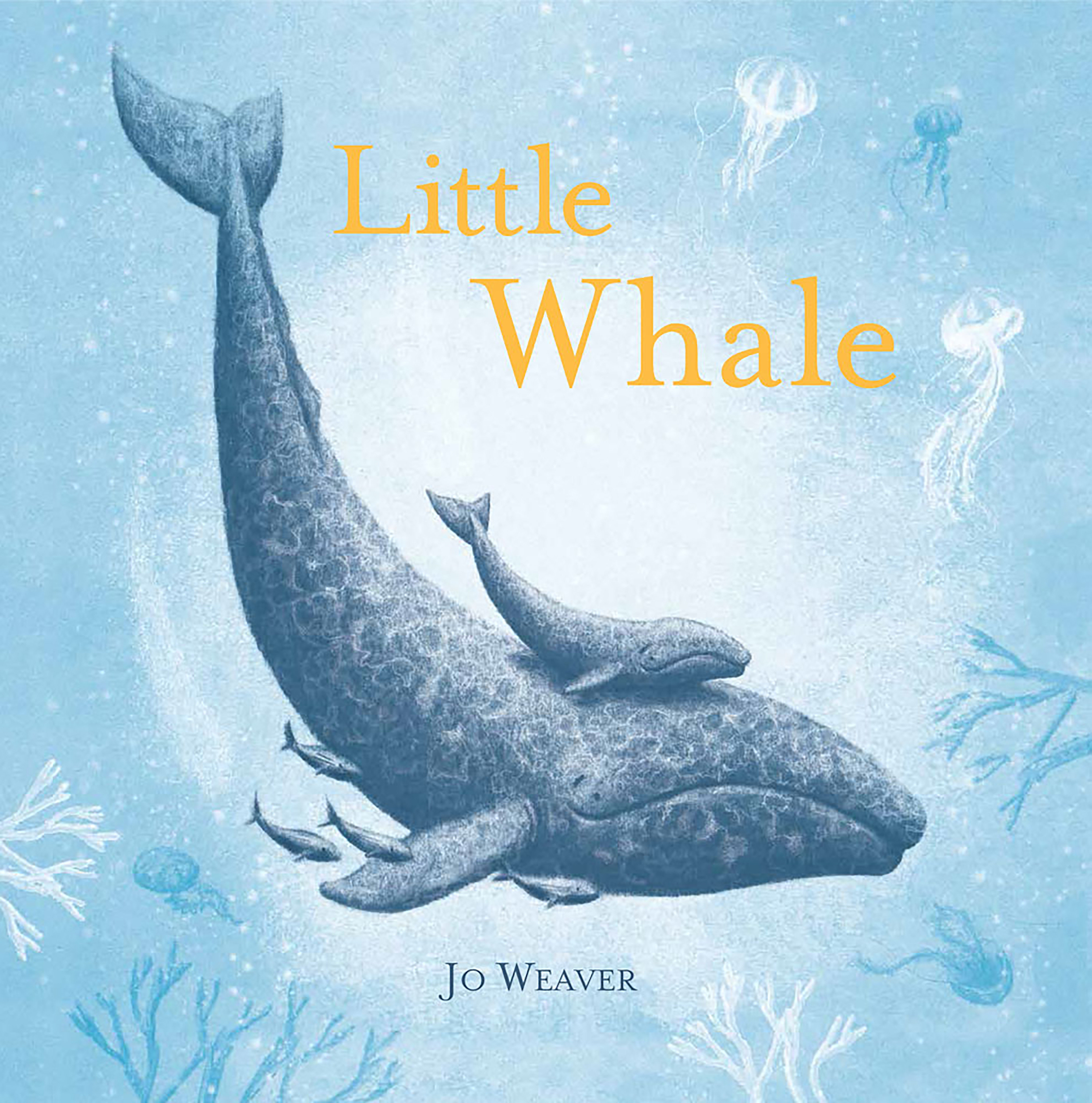 Little Whale (Hardcover Book)