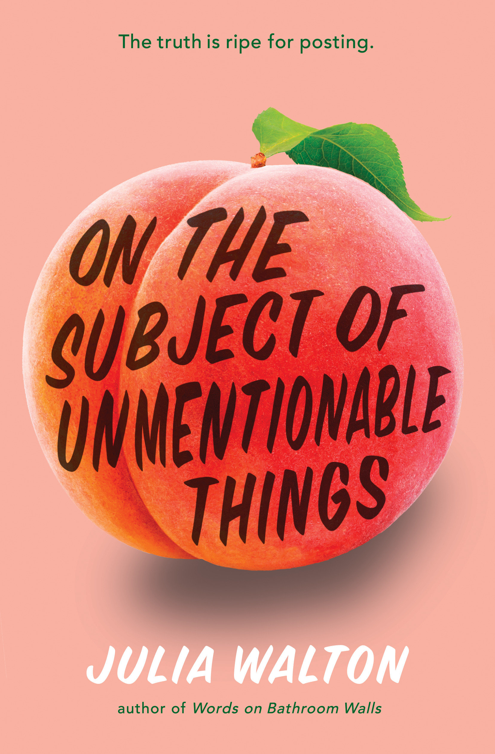 On The Subject Of Unmentionable Things (Hardcover Book)