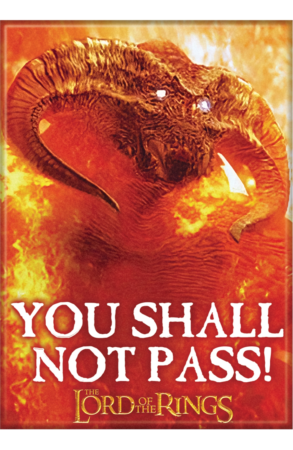 Lord of The Rings You Shall Not Pass Magnet