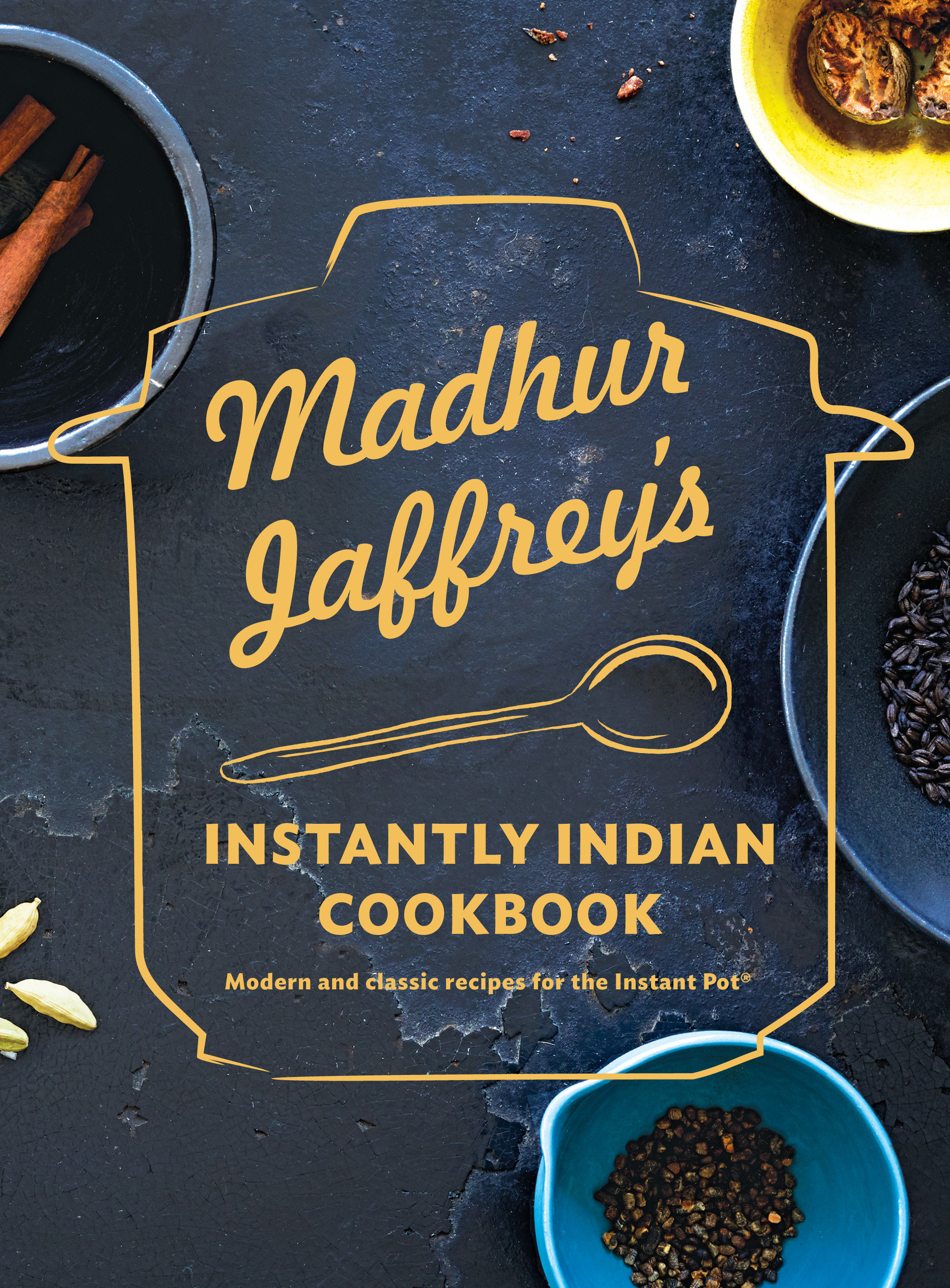 Madhur Jaffrey'S Instantly Indian Cookbook (Hardcover Book)