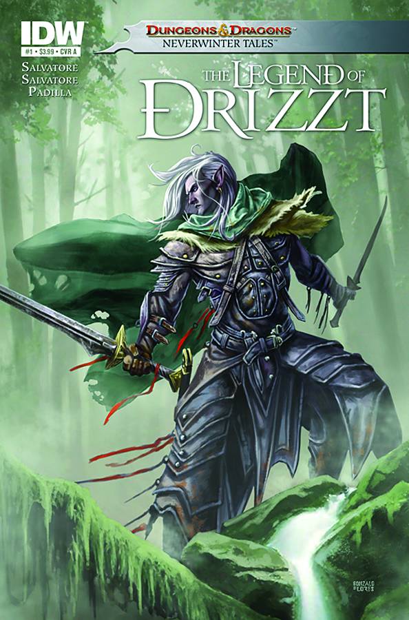 Dungeons & Dragons Drizzt #1