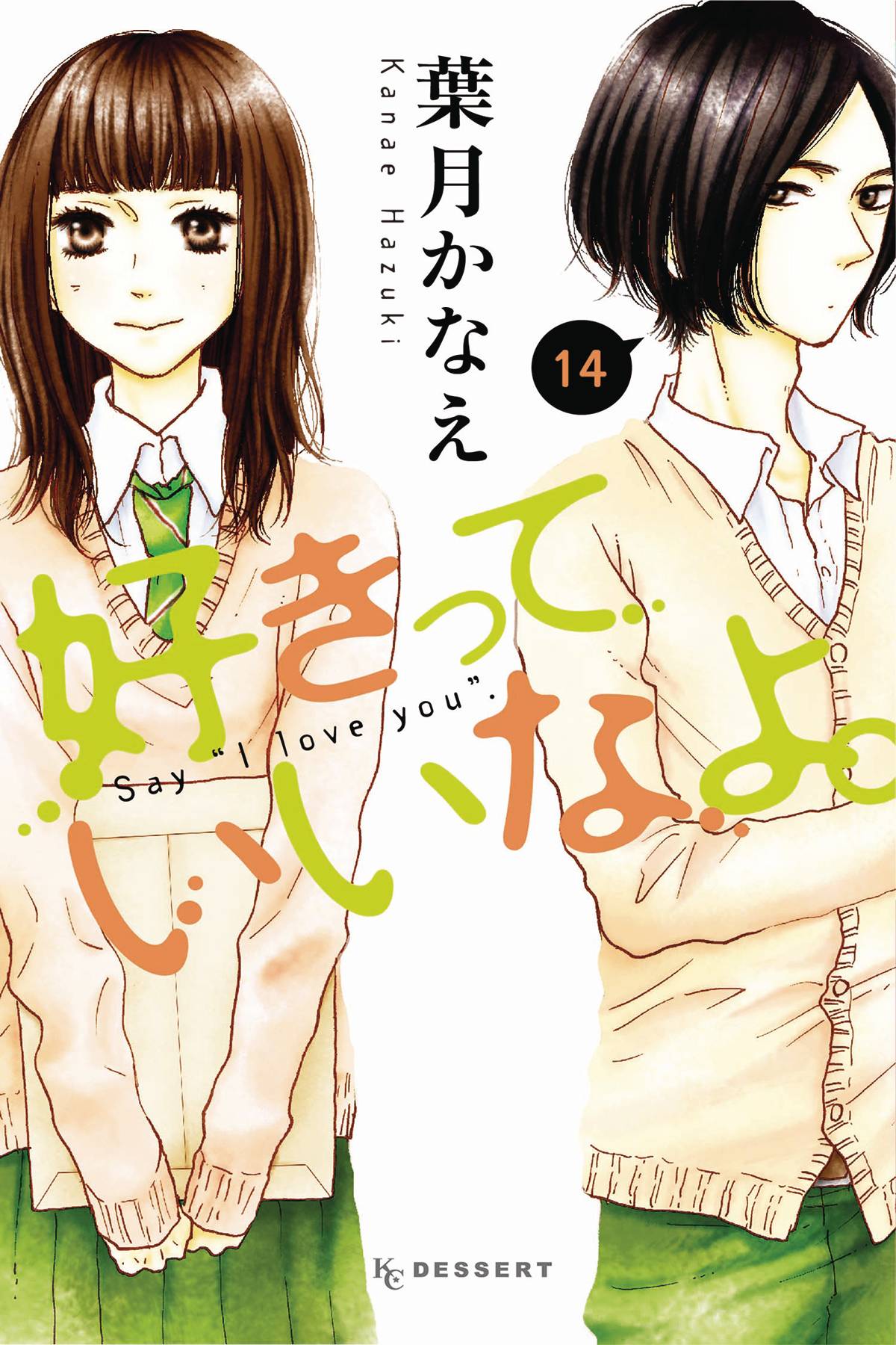 Say I Love You Manga Volume 14