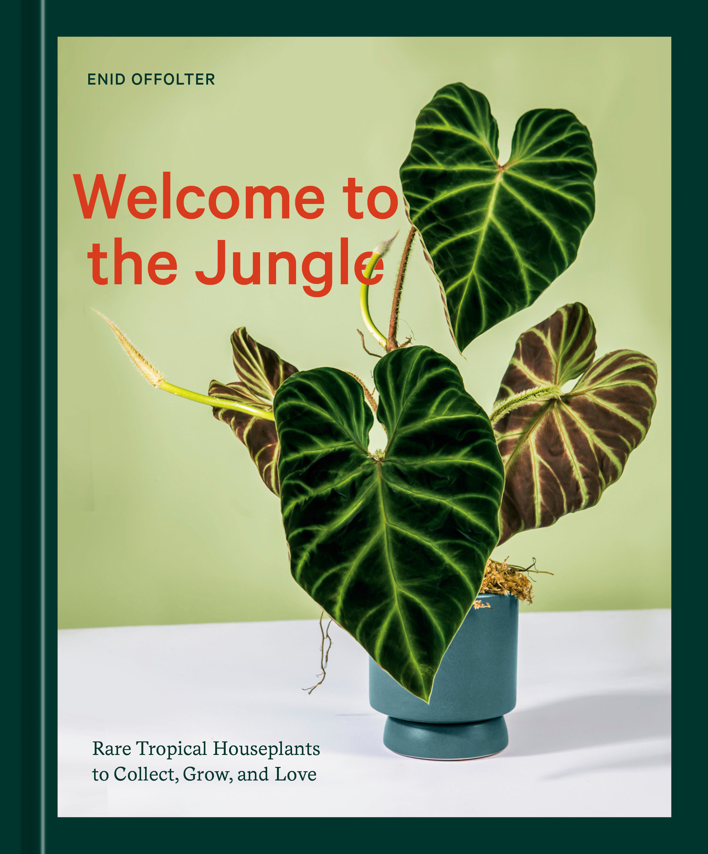 Welcome To The Jungle (Hardcover Book)