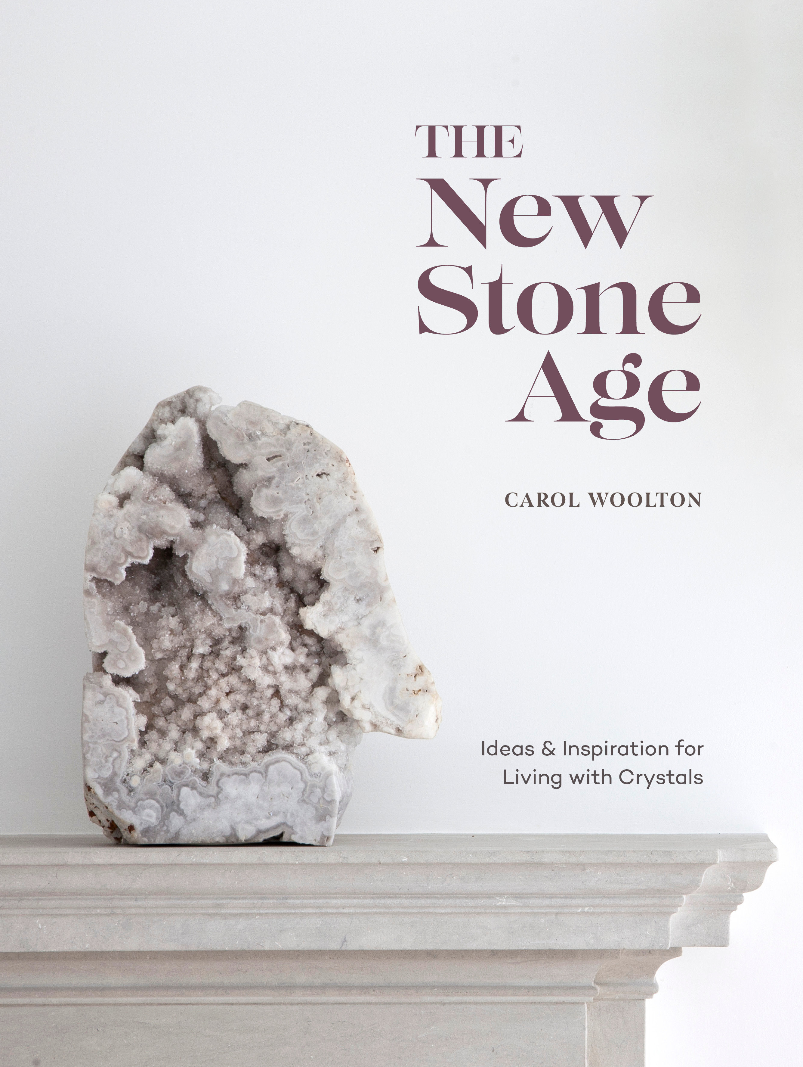 The New Stone Age (Hardcover Book)