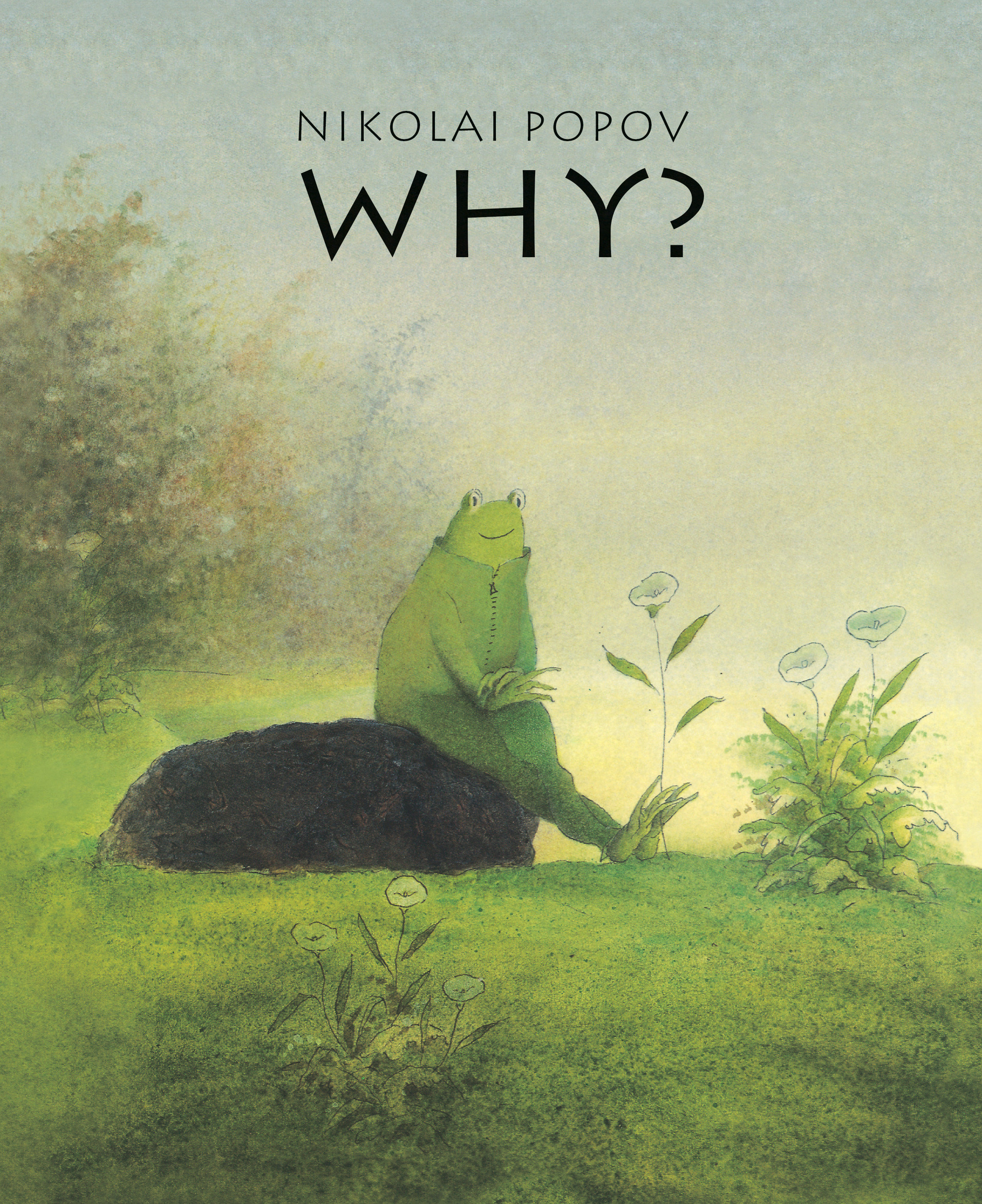 Why? (Hardcover Book)