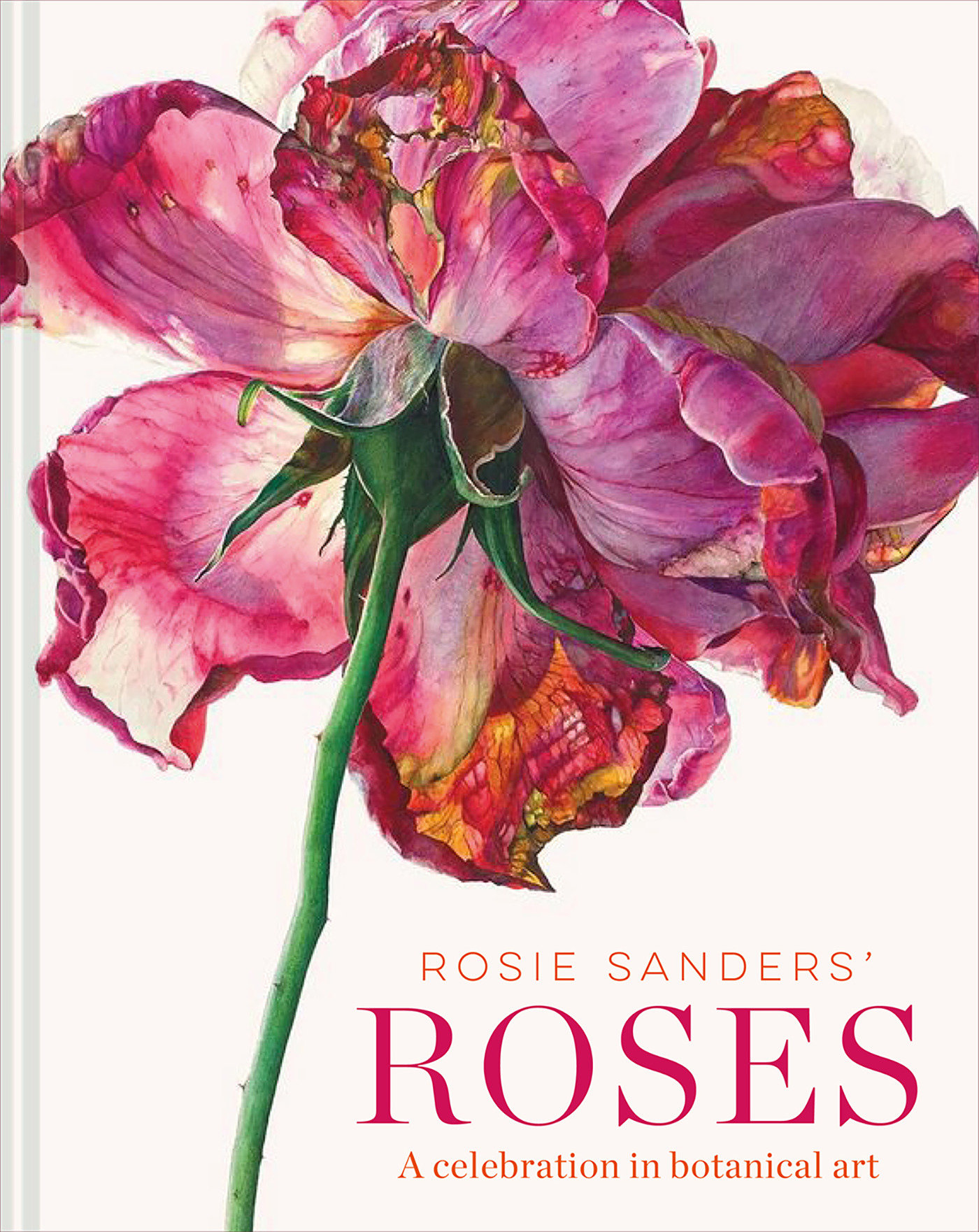 Rosie Sanders' Roses (Hardcover Book)