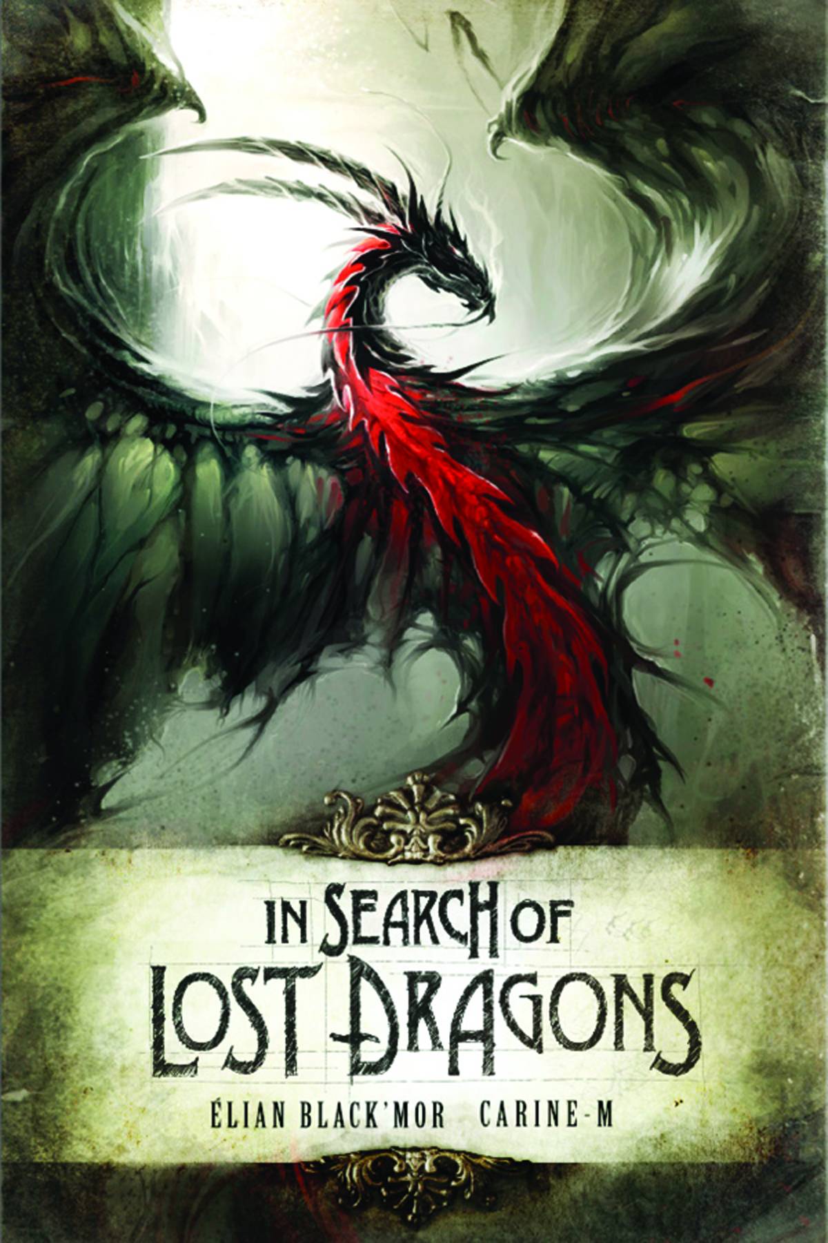 In Search of Lost Dragons Hardcover