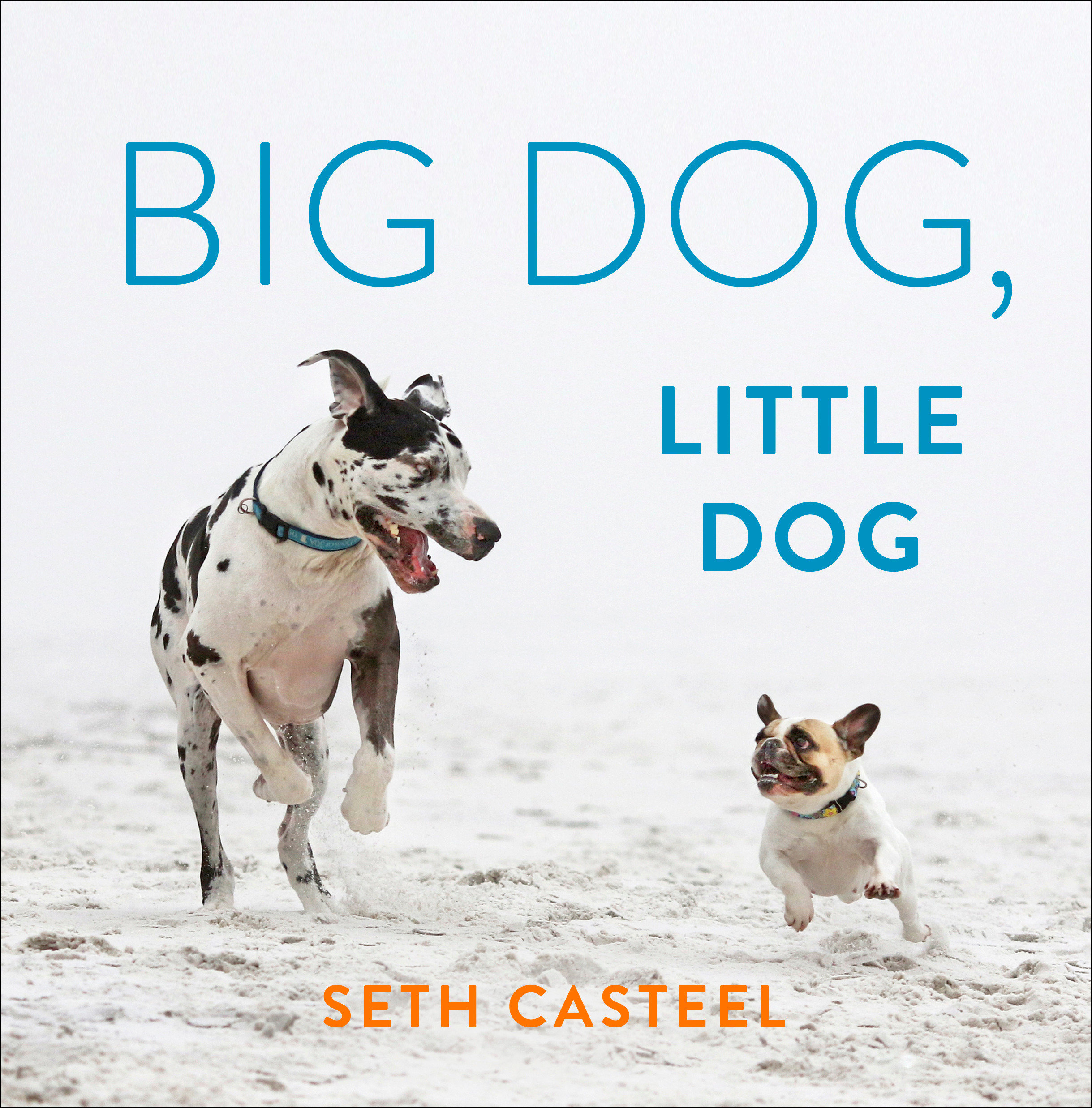 Big Dog, Little Dog (Hardcover Book)