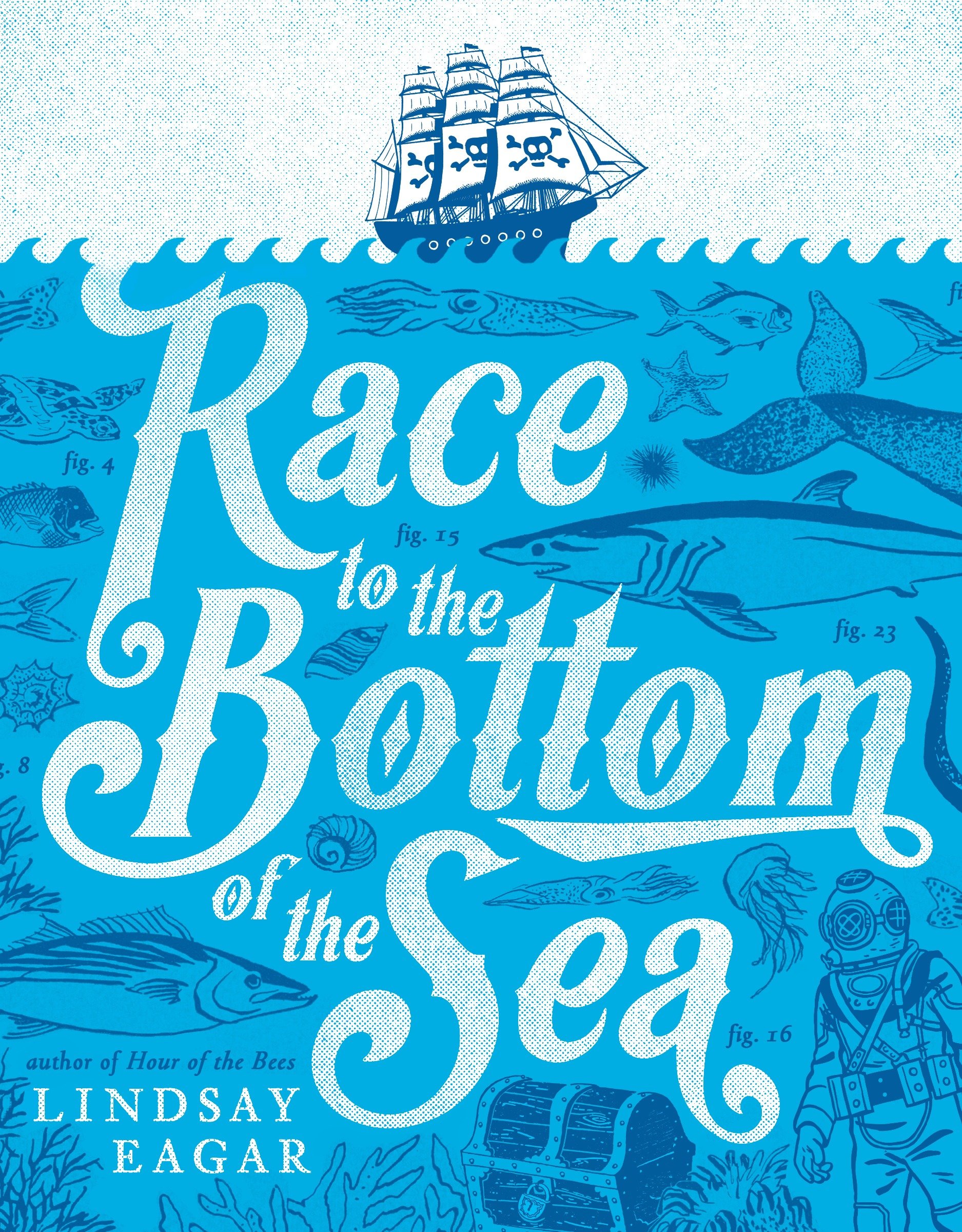 Race To The Bottom Of The Sea (Hardcover Book)