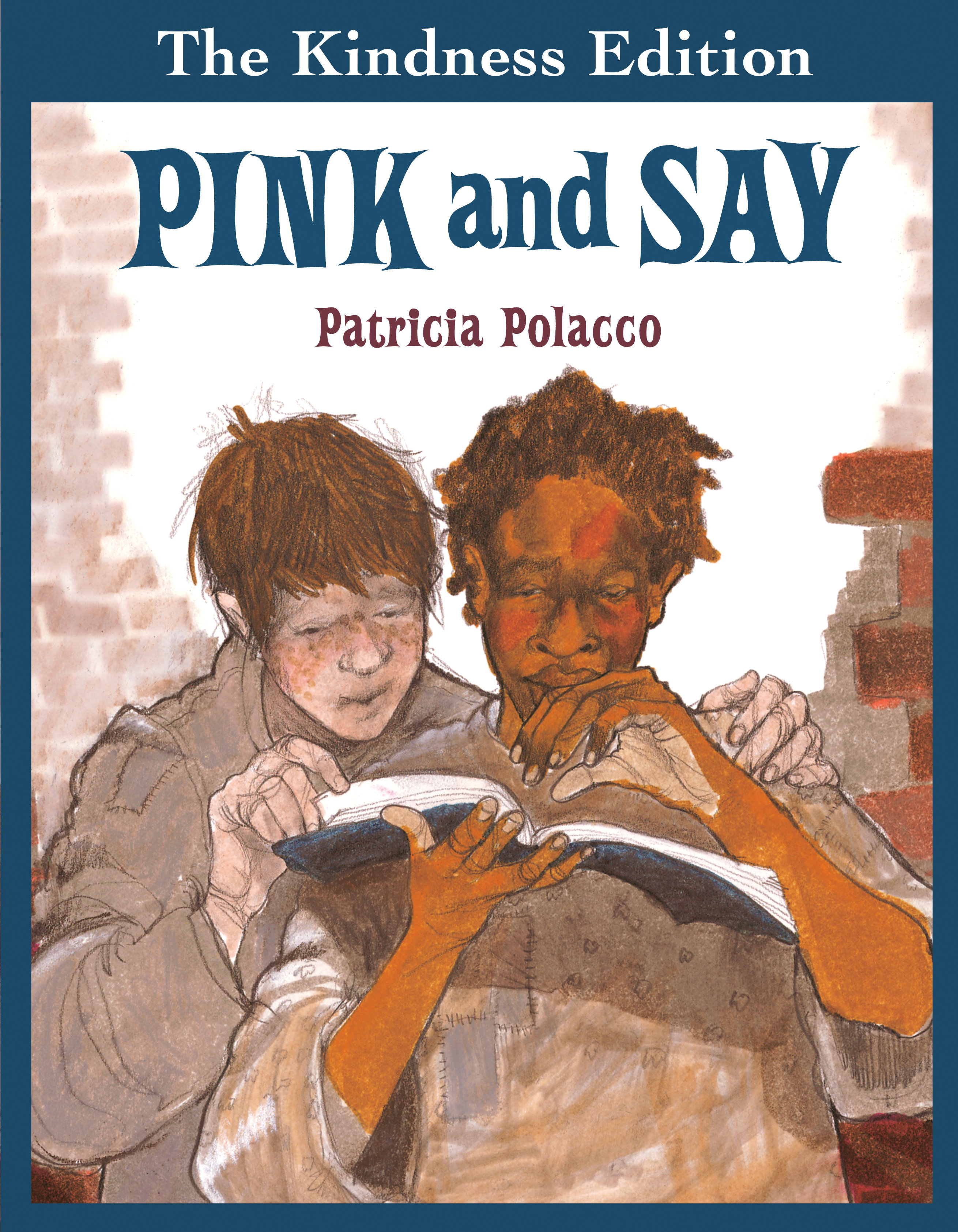 Pink And Say (Hardcover Book)