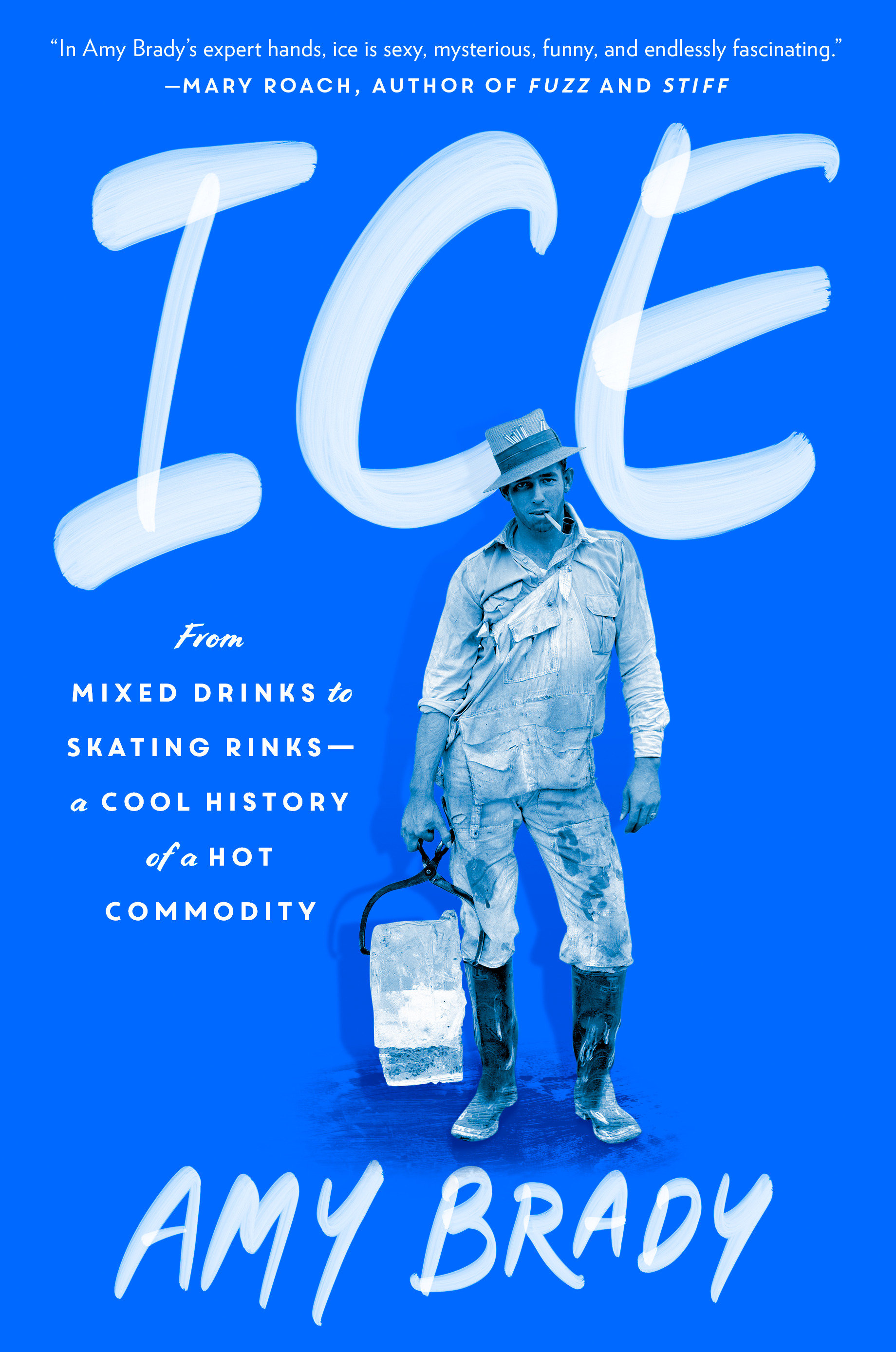 Ice (Hardcover Book)