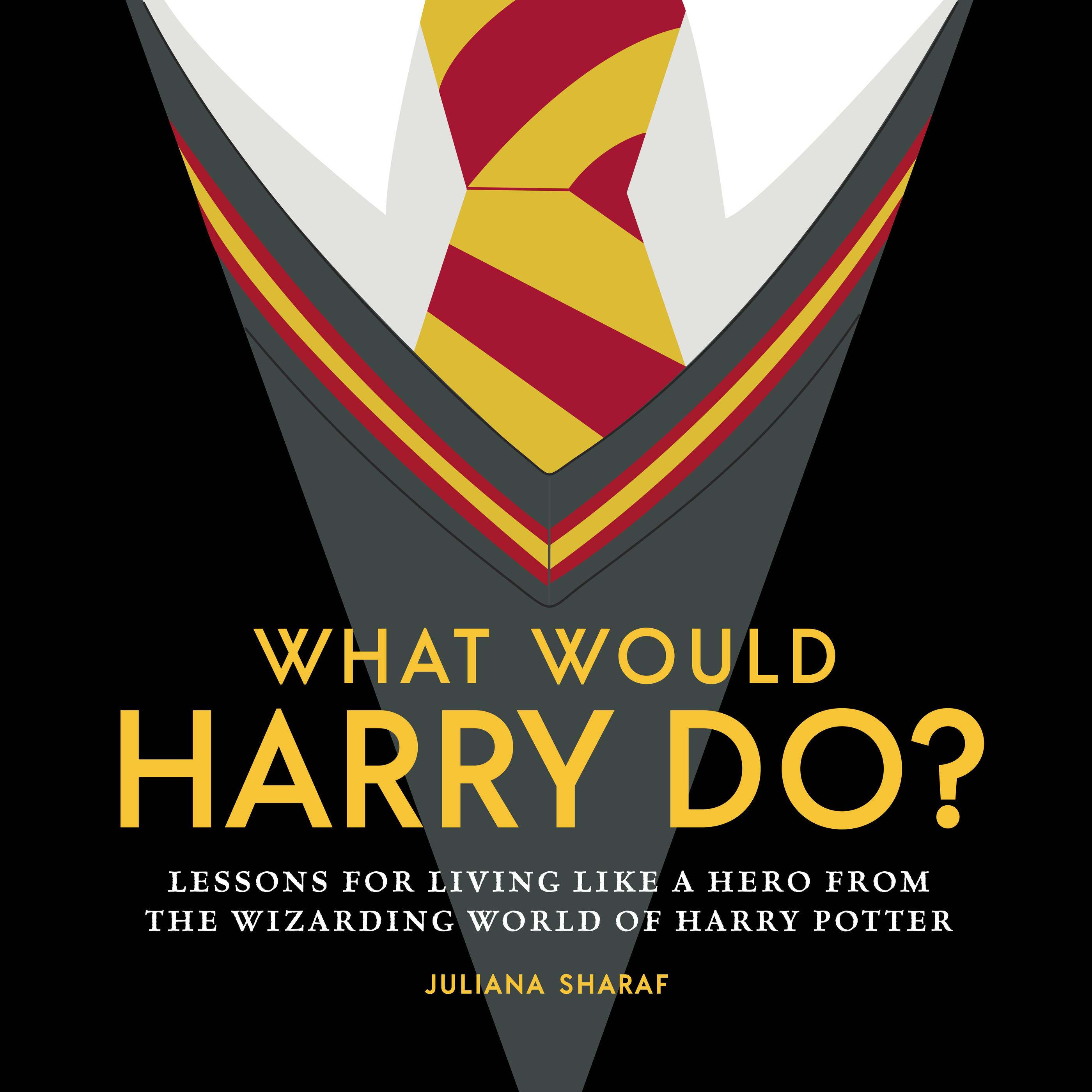 What Would Harry Do Lessons Wizarding World Hardcover