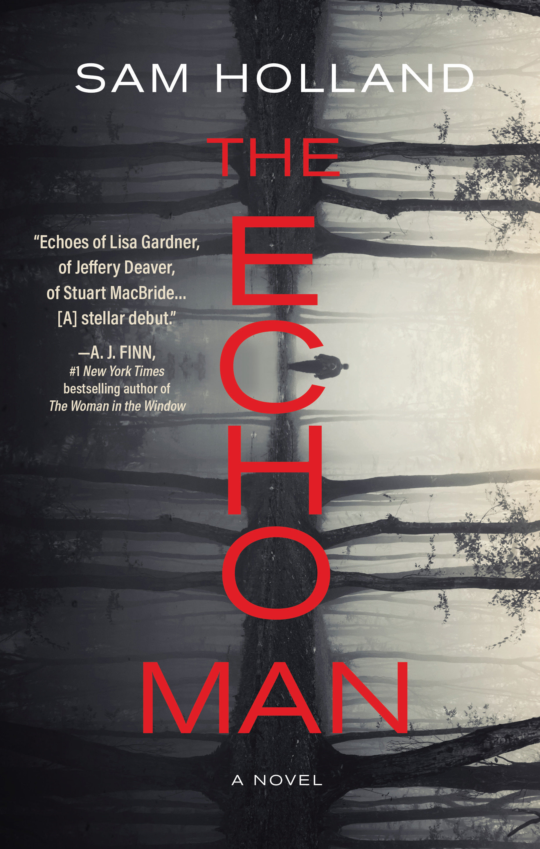 The Echo Man (Hardcover Book)