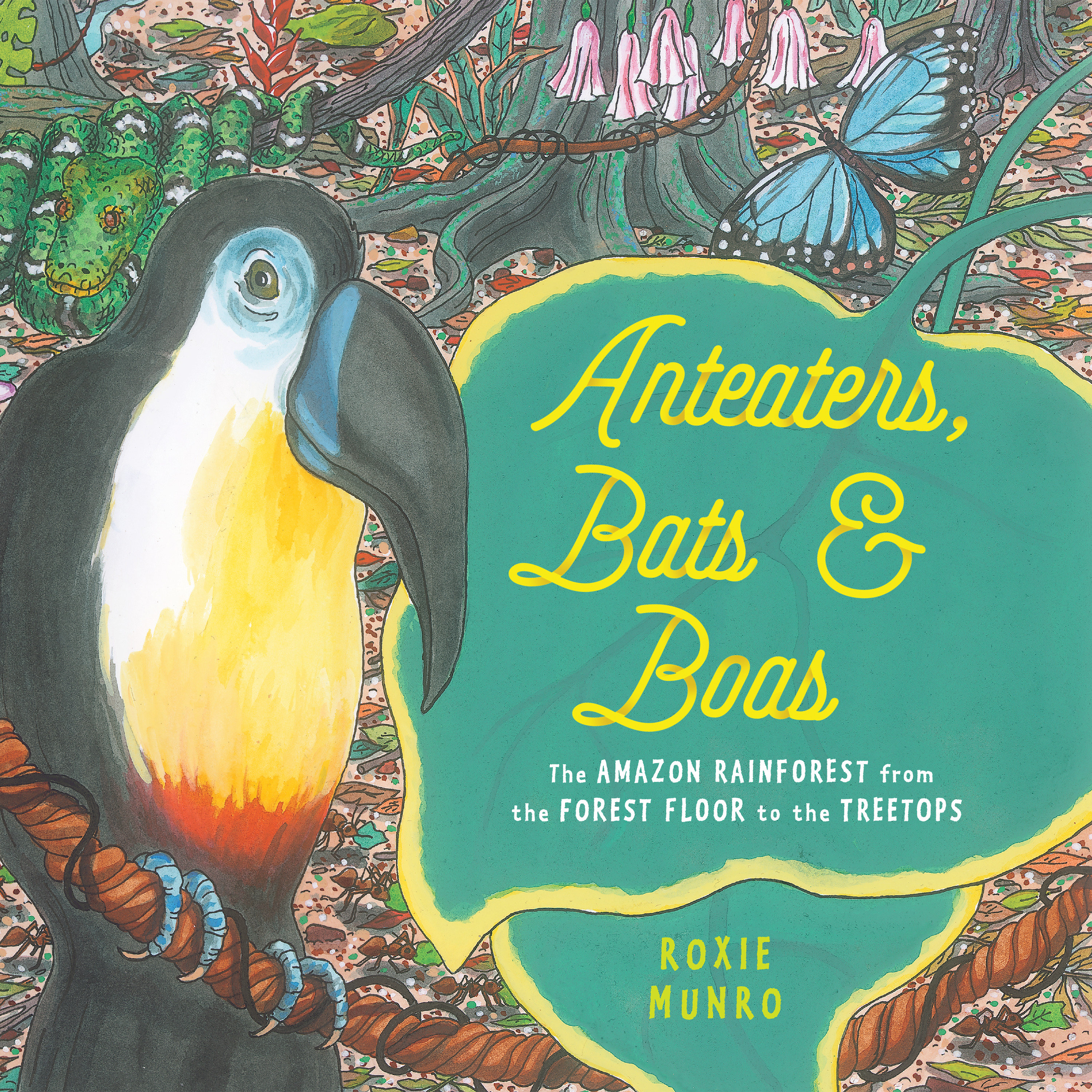 Anteaters, Bats & Boas (Hardcover Book)