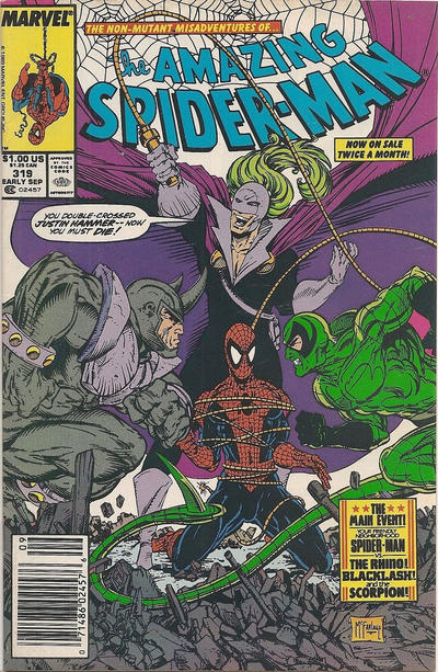 The Amazing Spider-Man #319 [Newsstand]-Fine (5.5 – 7)