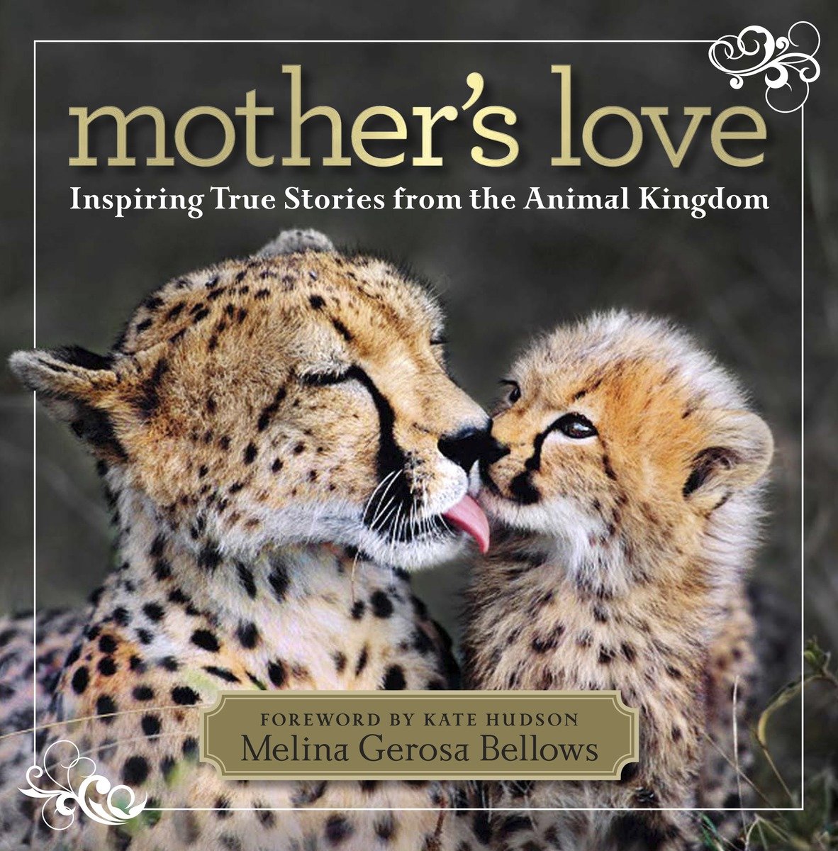 Mother'S Love (Hardcover Book)