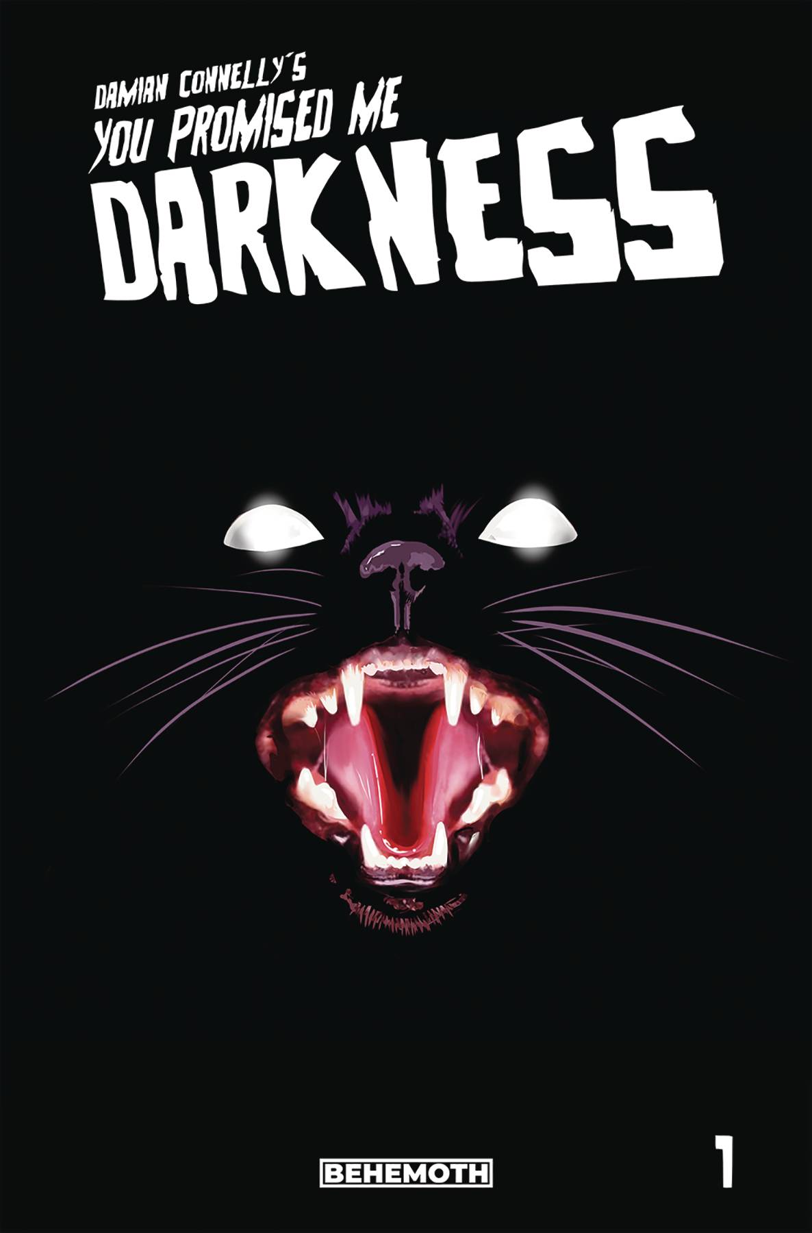 You Promised Me Darkness #1 3rd Printing