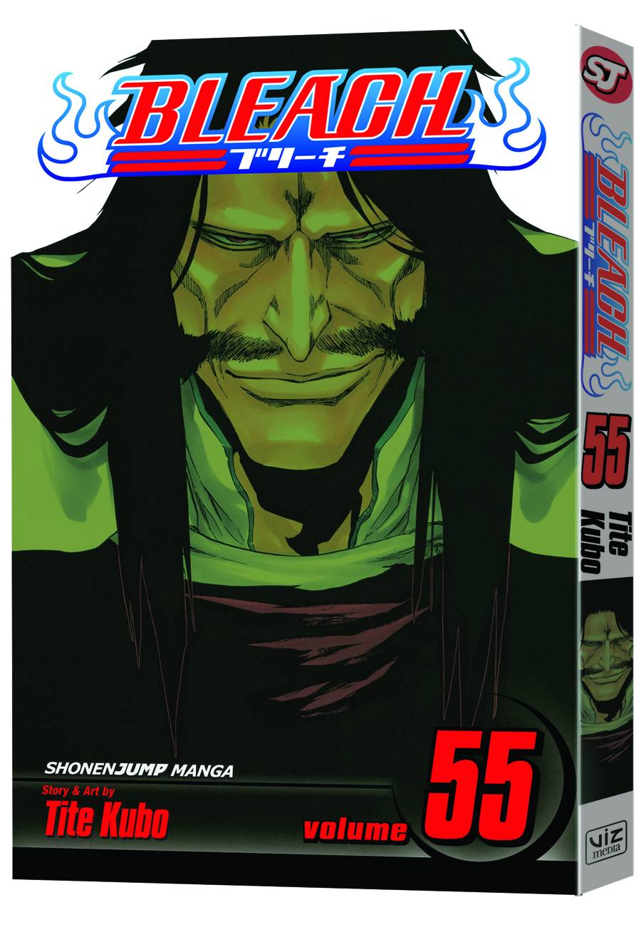 Bleach Manga Volume 55