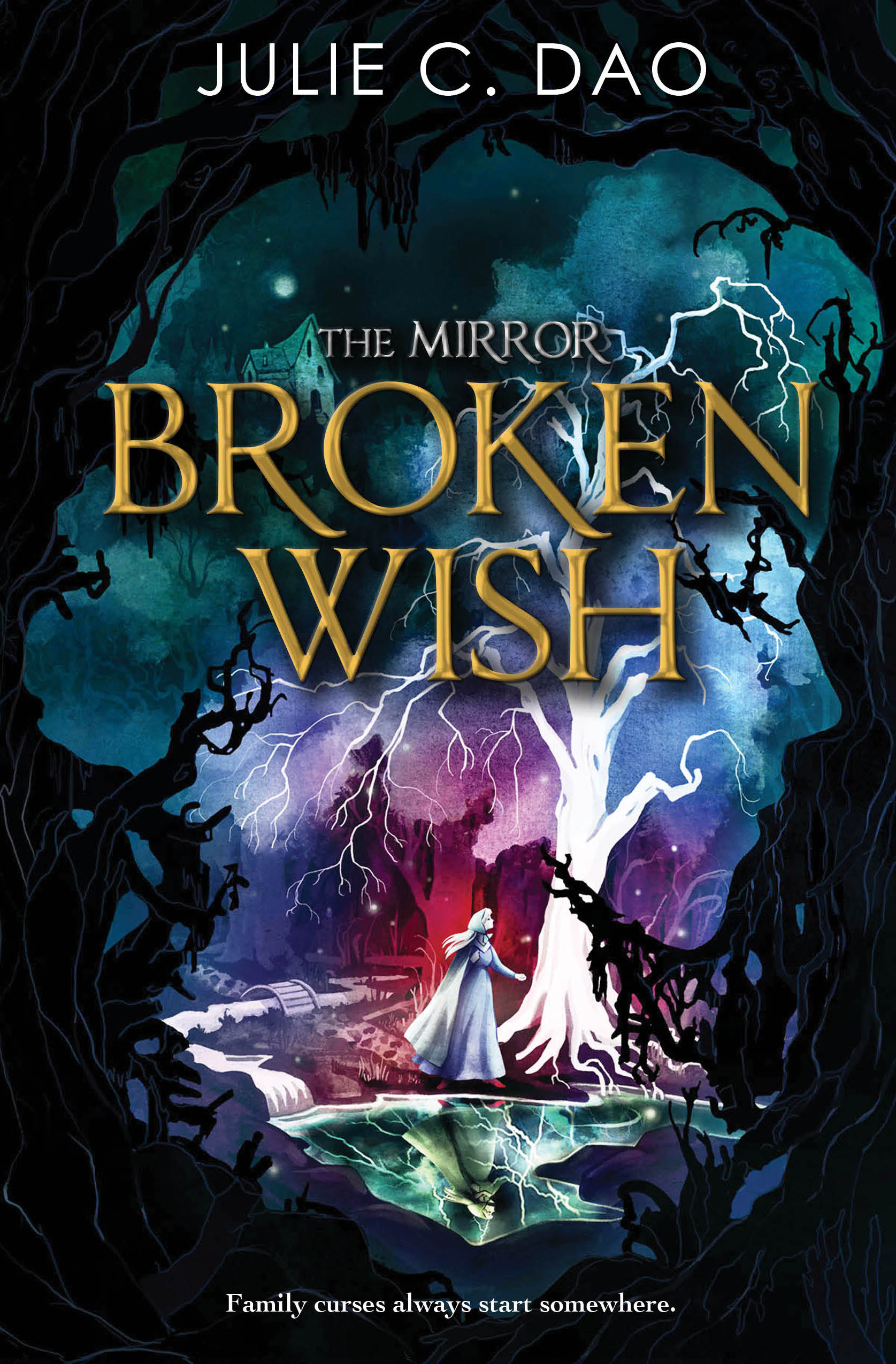 Broken Wish (Hardcover Book)