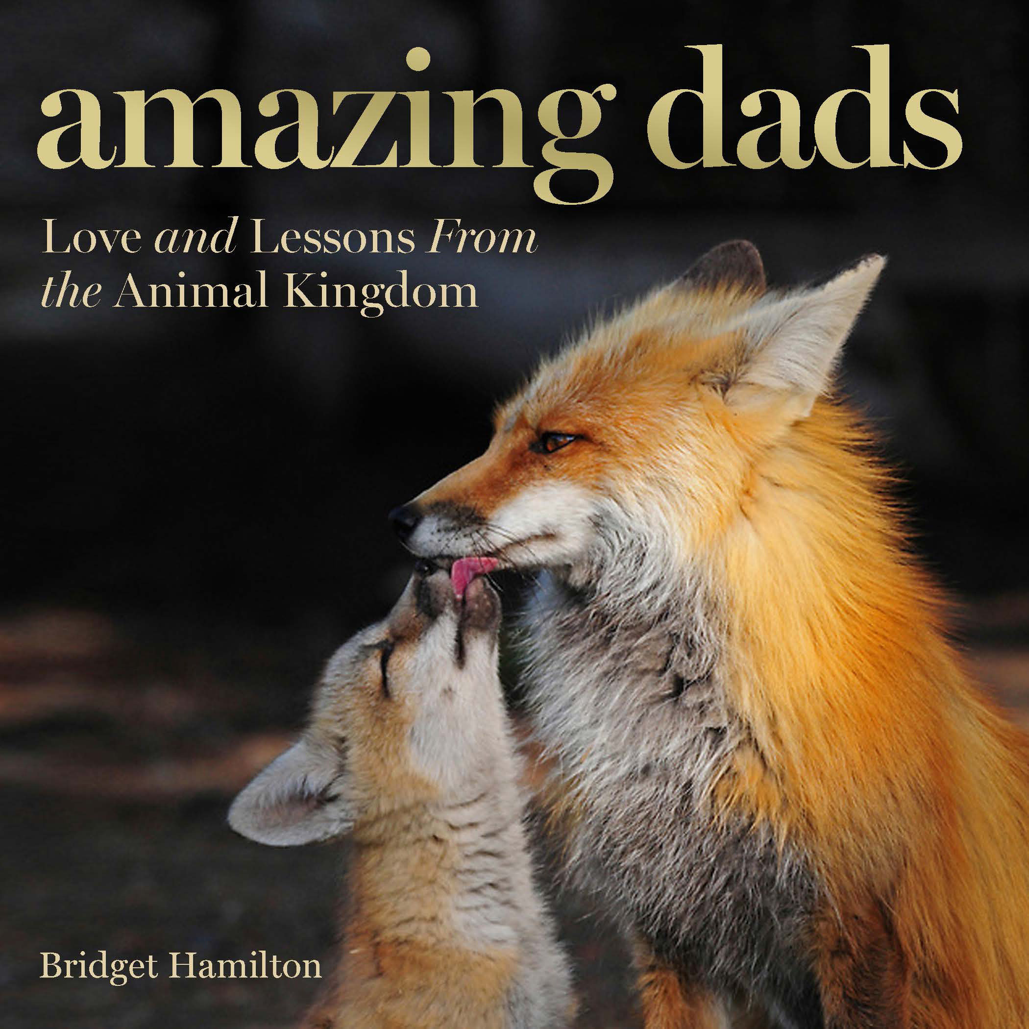 Amazing Dads (Hardcover Book)