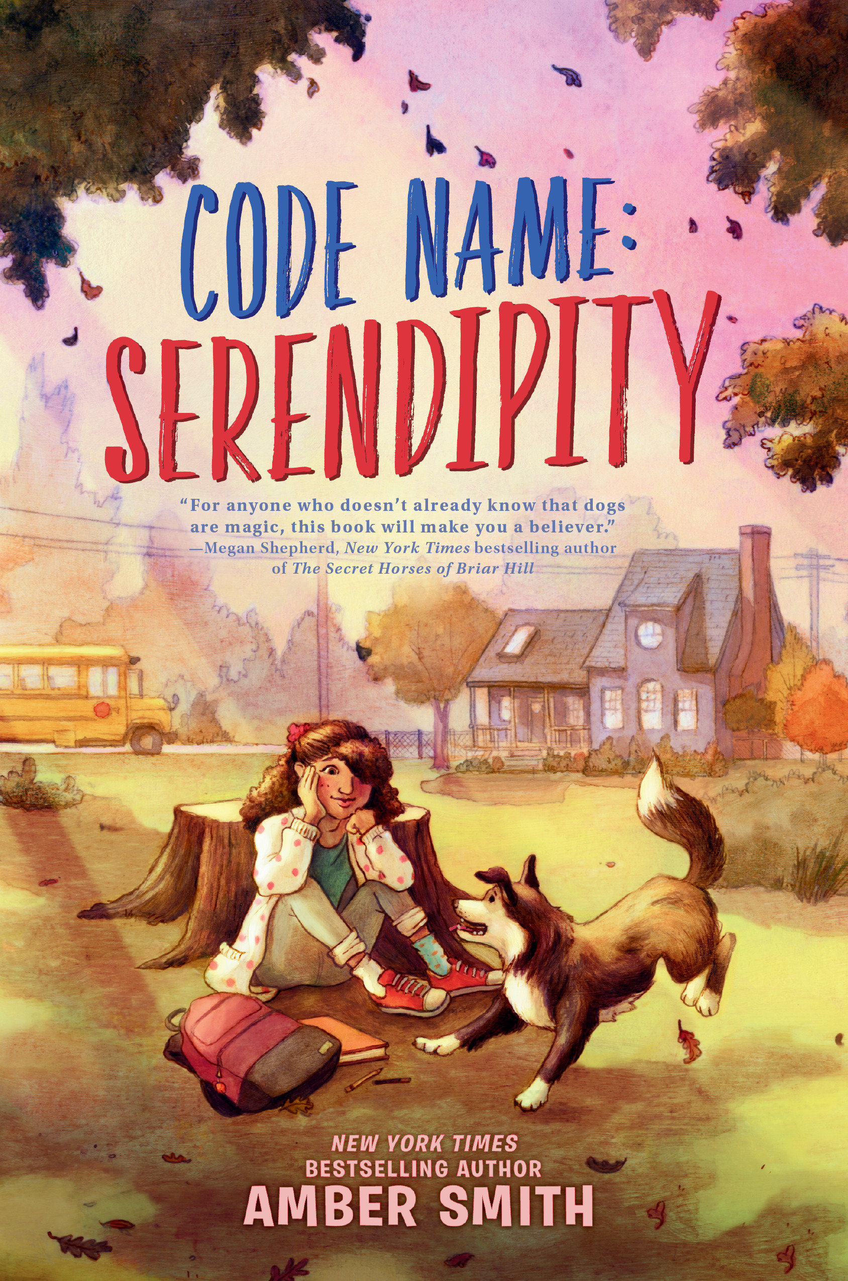 Code Name: Serendipity (Hardcover Book)