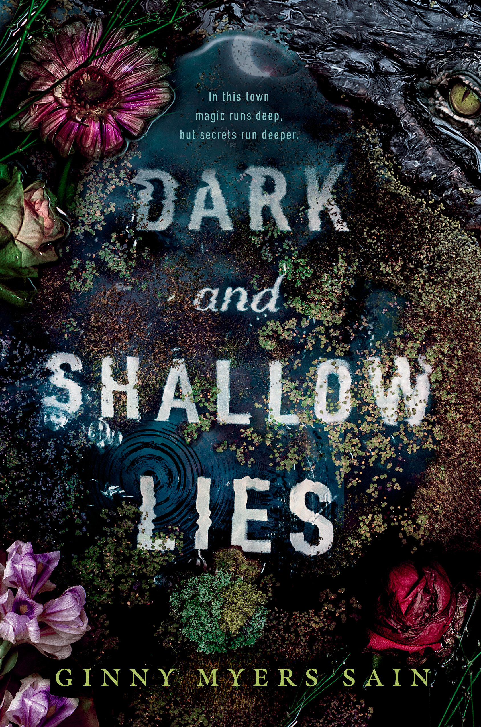 Dark And Shallow Lies (Hardcover Book)