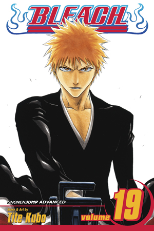 Bleach Manga Volume 19