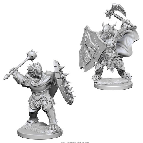 Dungeons & Dragons Nolzur`s Marvelous Unpainted Miniatures: Dragonborn Male Paladin