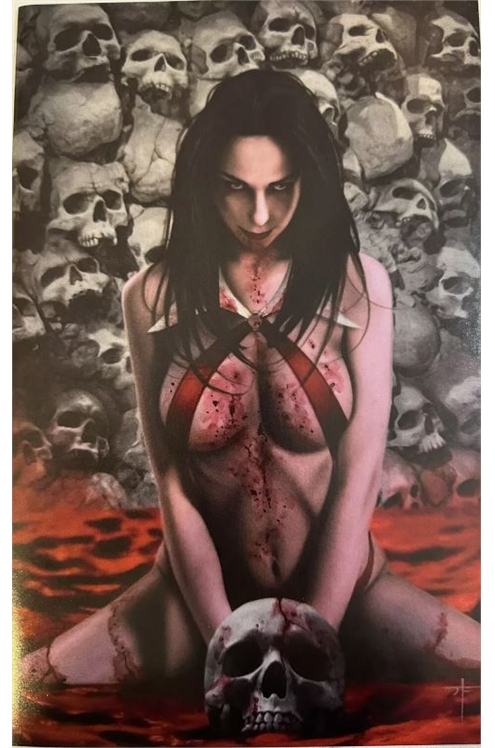 Vampirella #1 Jay Furguson Frankie's Comics Exclusive Full-Art Variant (2019)