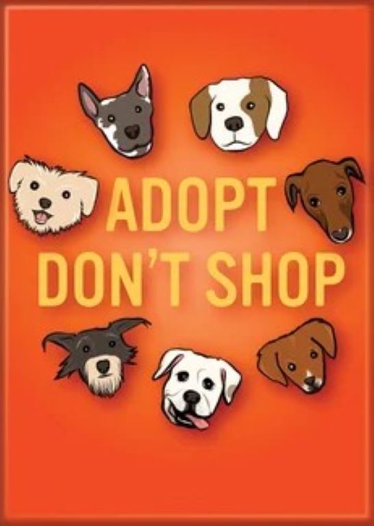 Adopt Dogs Magnet