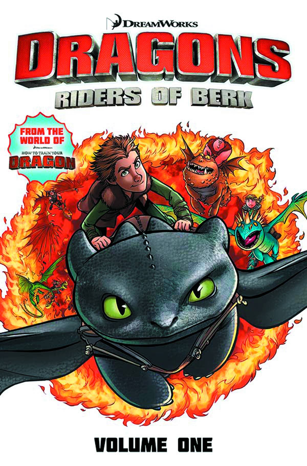 Dragons Riders of Berk Collection Graphic Novel Volume 1
