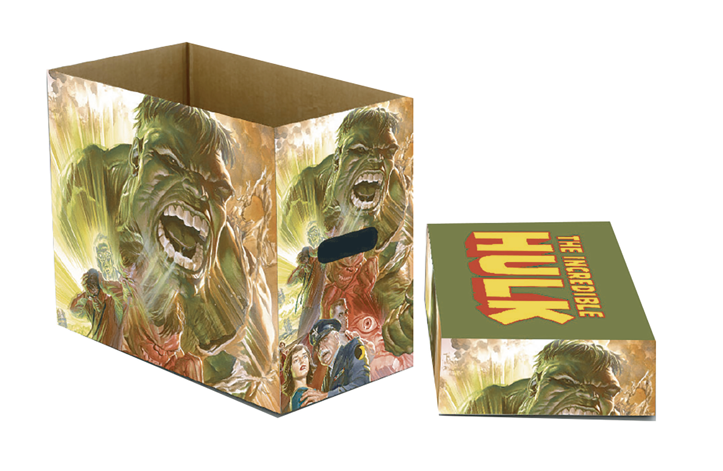 Marvel Hulk Green Goliath 5 Pack Short Comic Storage Box