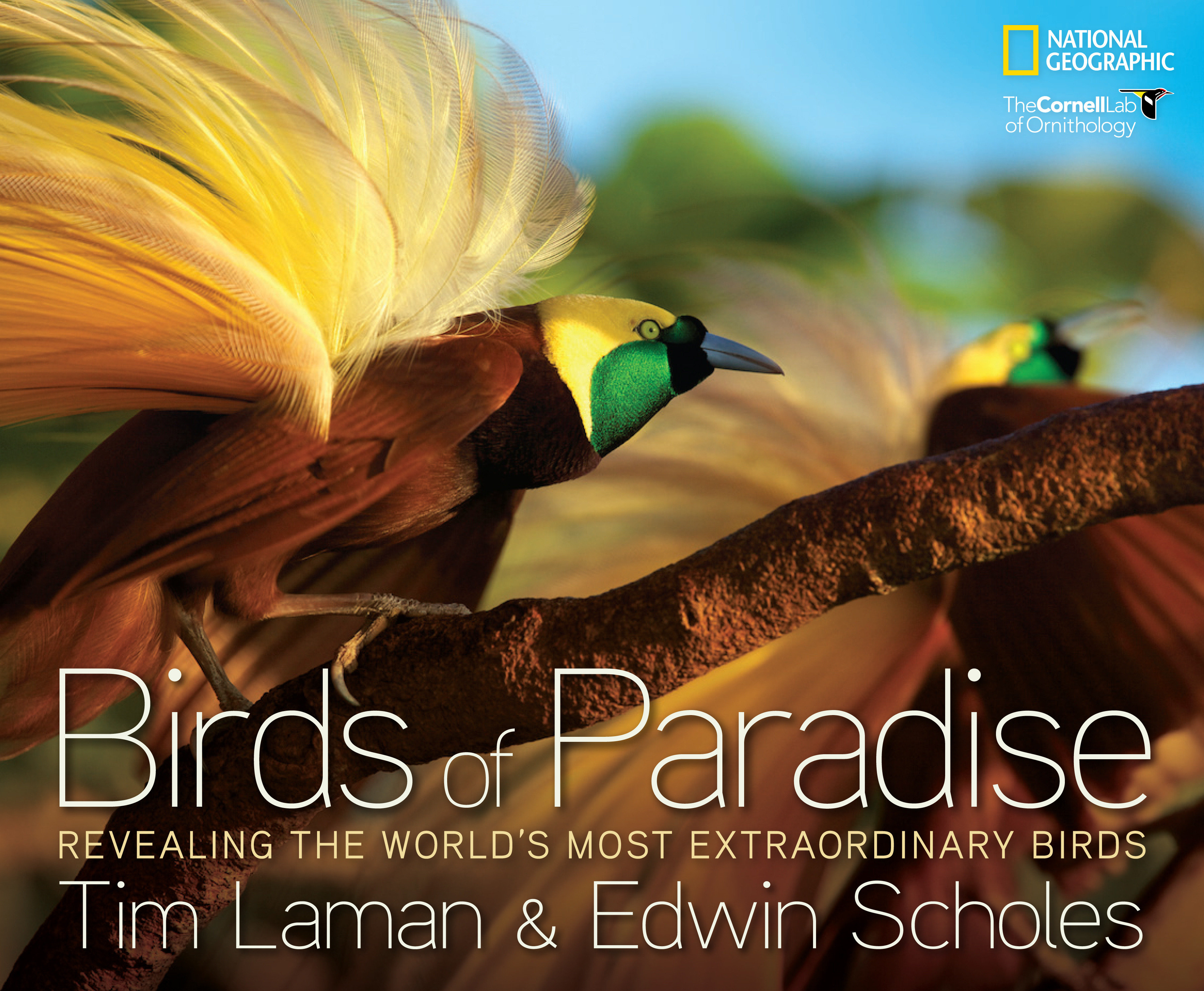 Birds Of Paradise (Hardcover Book)