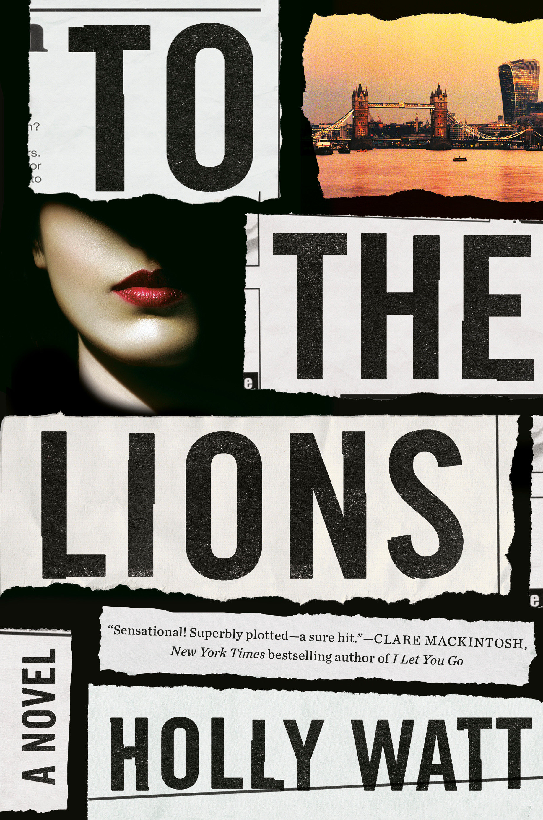 To The Lions (Hardcover Book)