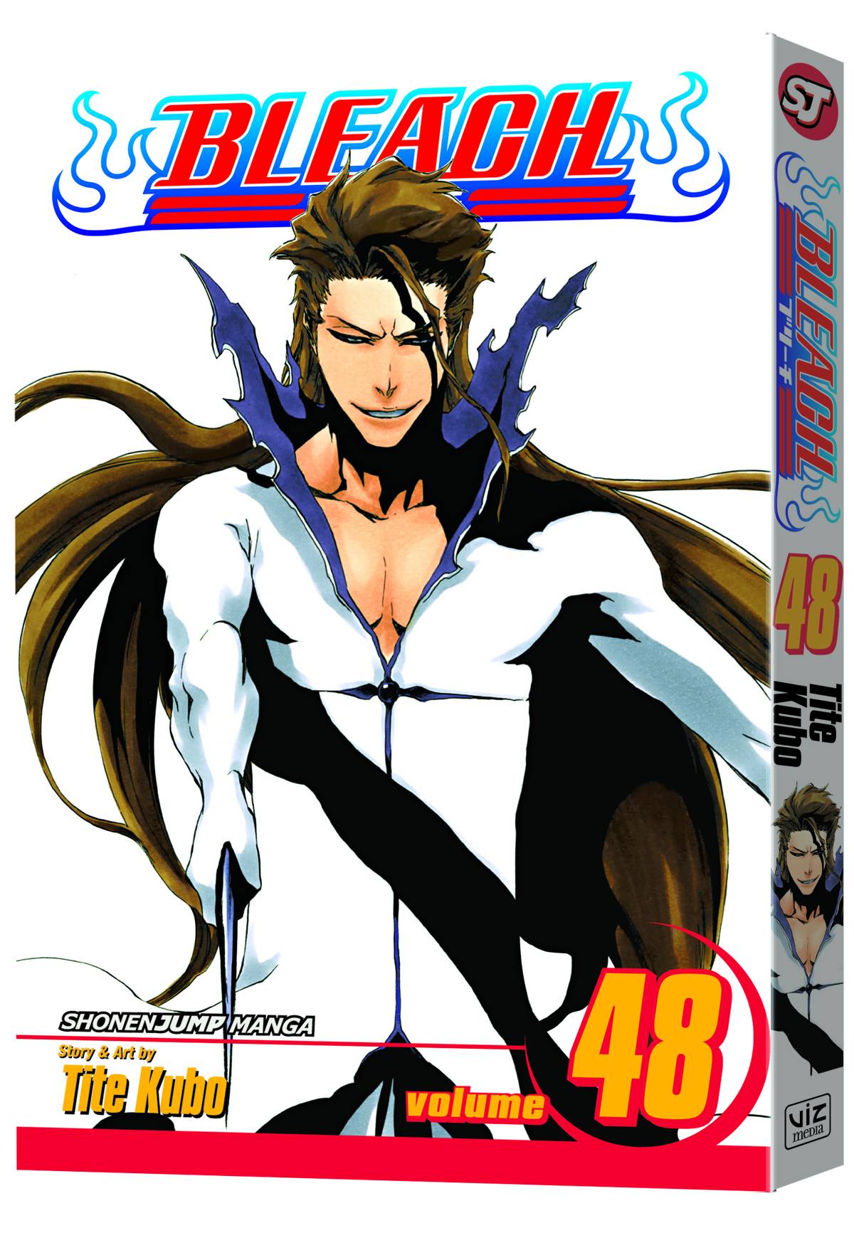 Bleach Manga Volume 48