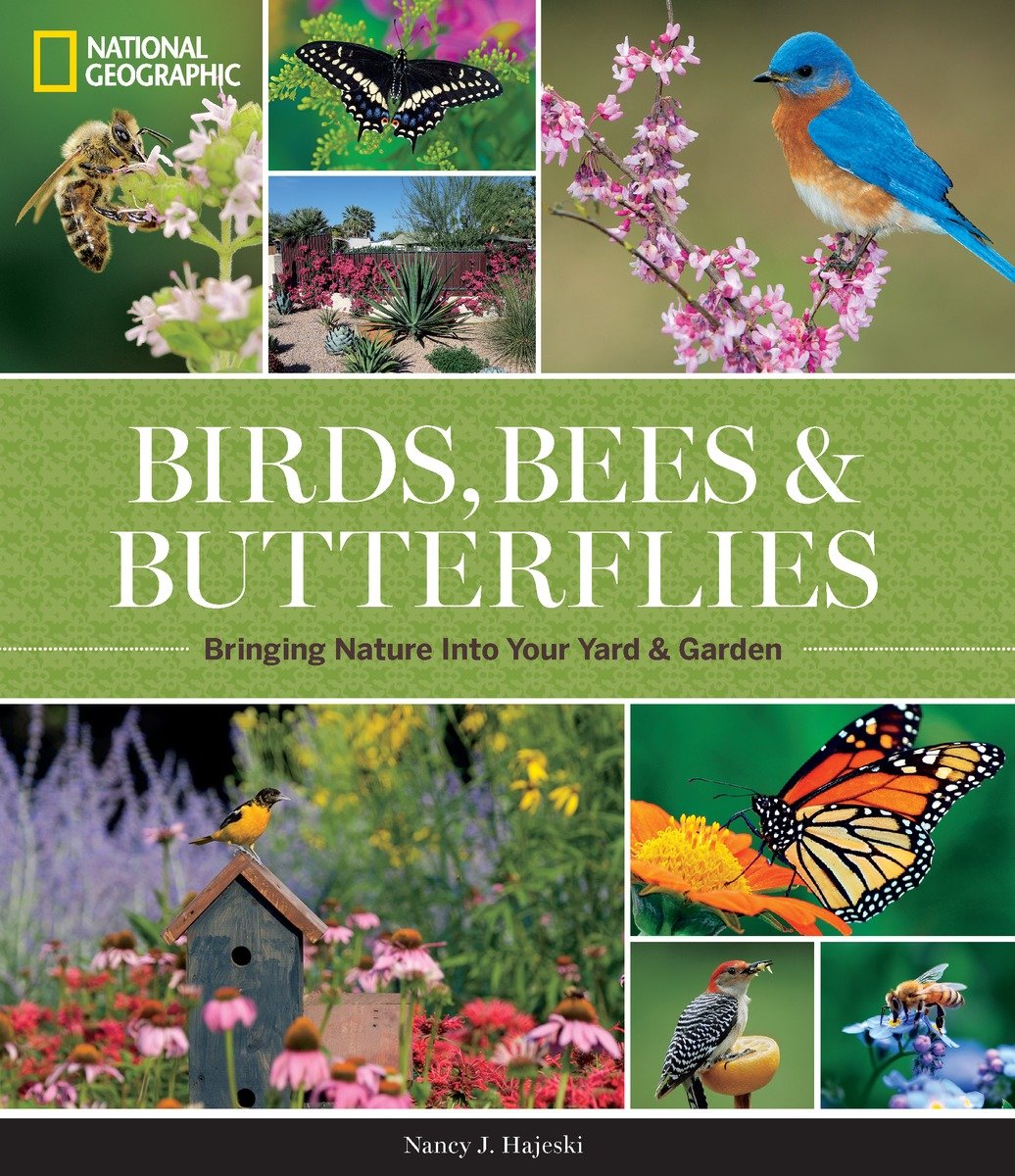 National Geographic Birds, Bees, And Butterflies (Hardcover Book)