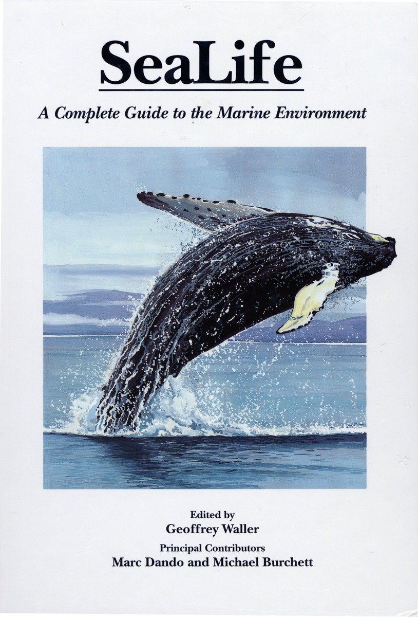Sealife (Hardcover Book)